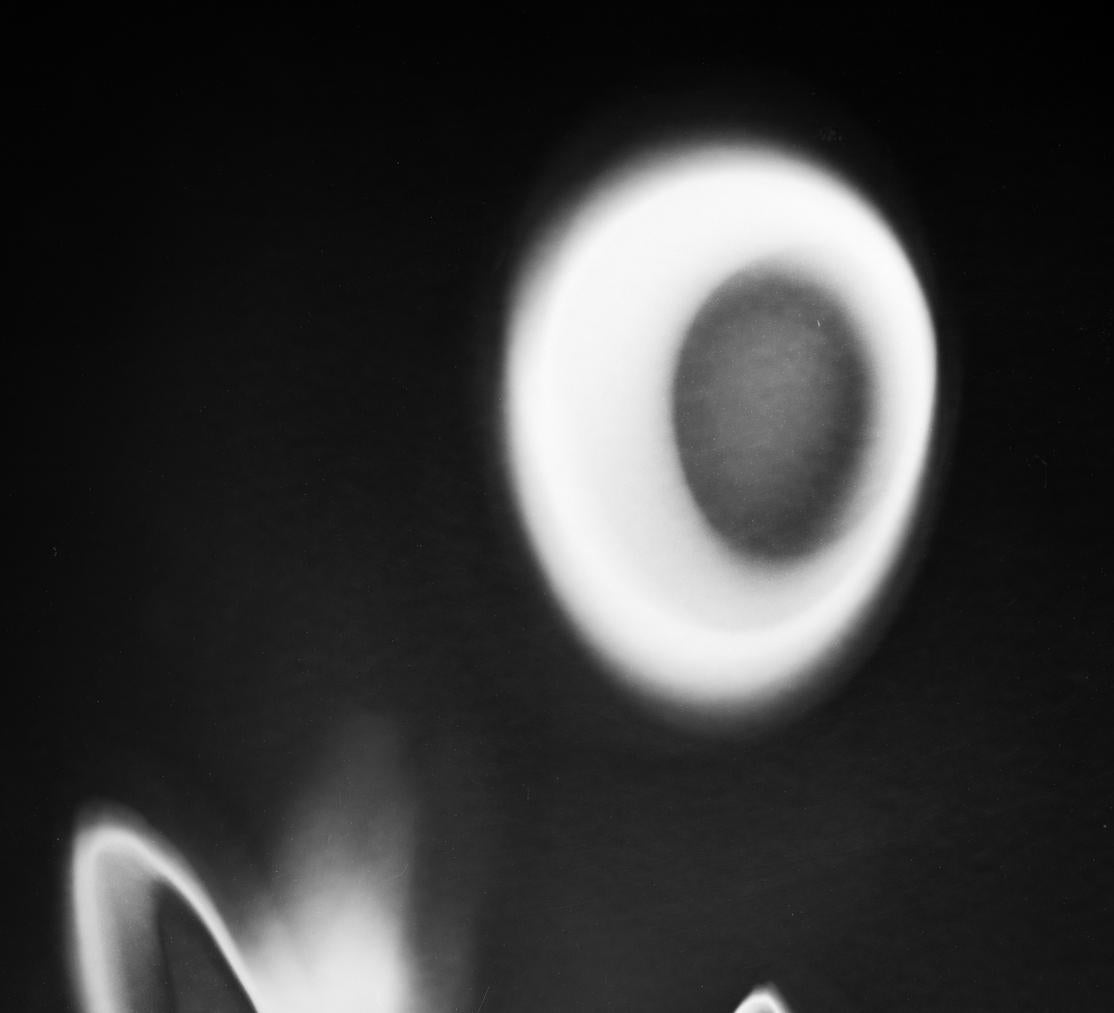 Renacimiento I. Resumen.  Impresión en blanco y negro - Photograph de Shine Huang