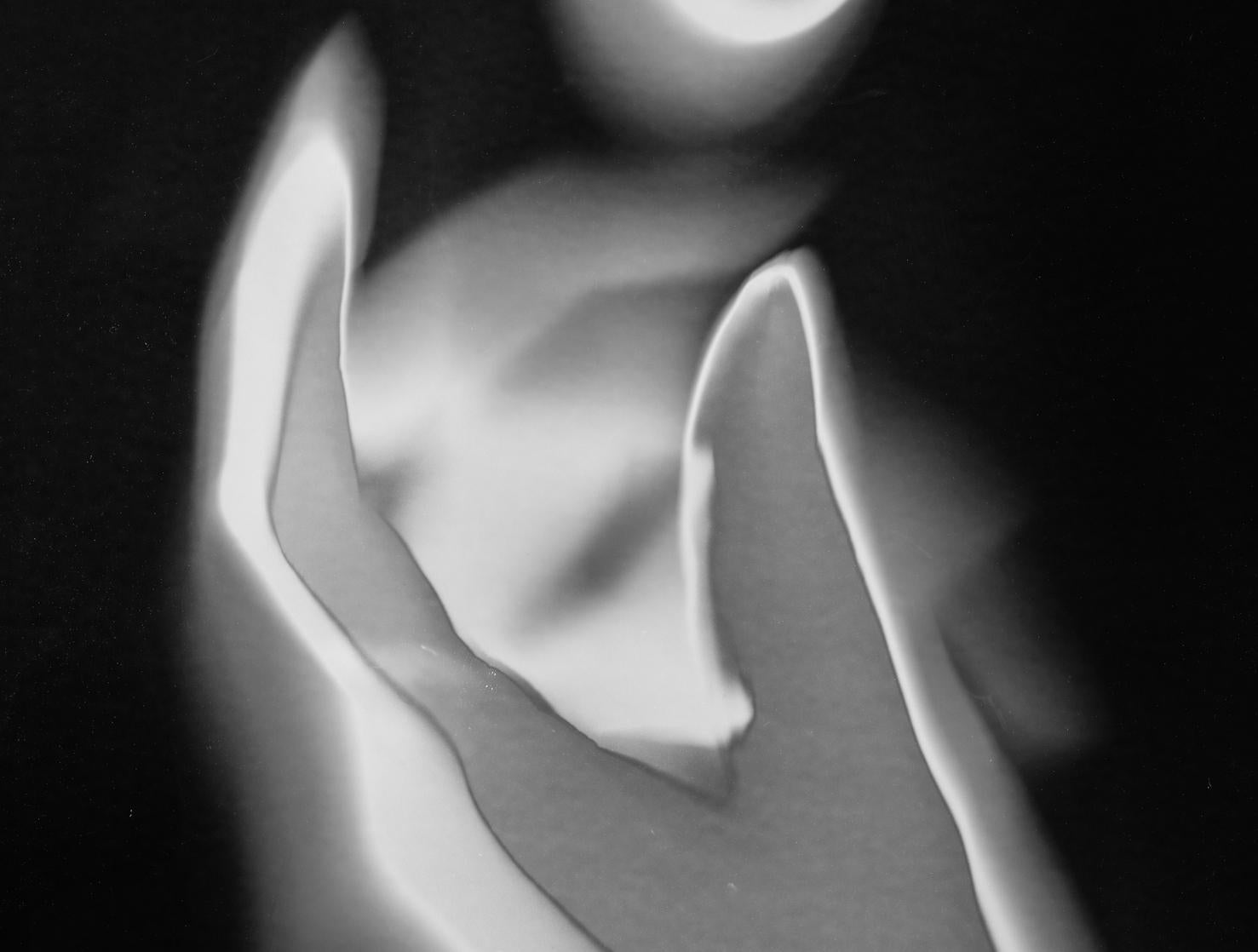 Wiedergeburt II. Zusammenfassung.  Schwarzer und weißer Druck (Minimalistisch), Photograph, von Shine Huang