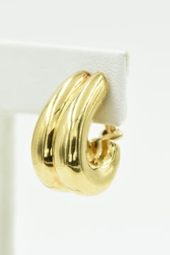 Shiny Finish Double Hoop Gold Earrings