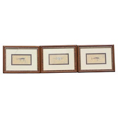 Shipman, ( ?) Trois gouaches en techniques mixtes représentant des leurres de pêche