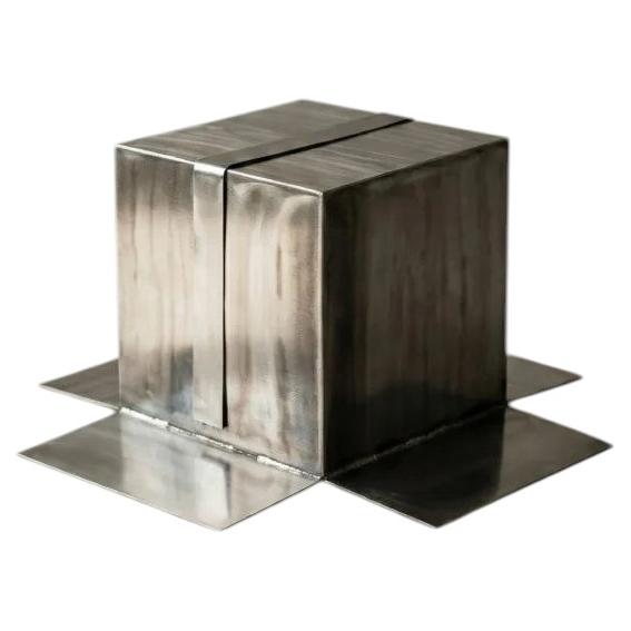 Shipping Box Coffee Table in Stainless Steel by Metalmorphosis Studio