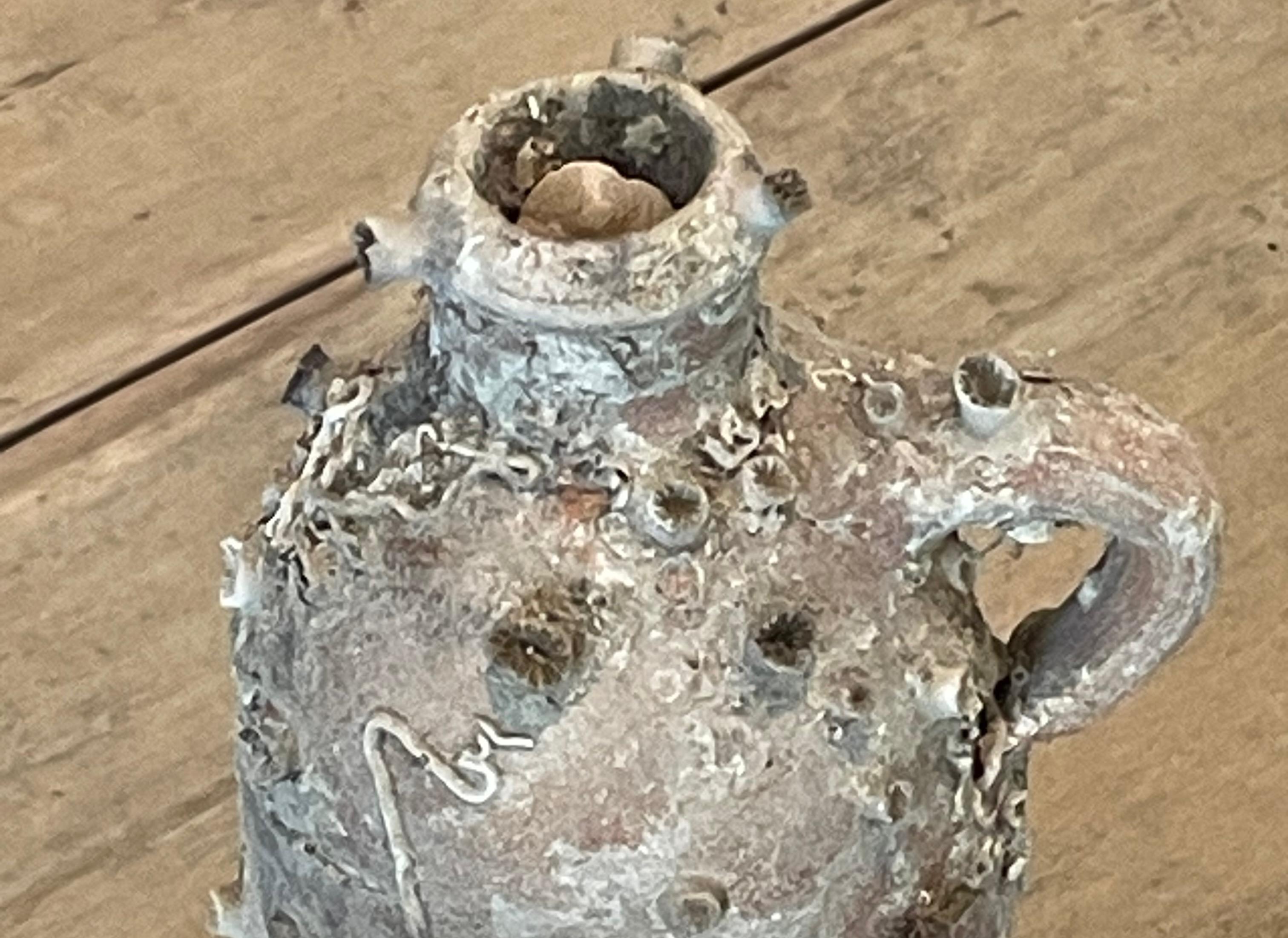 Bottiglia di assenzio naufragata olandese del XIX secolo.
Maniglia singola.
Originali e bellissimi cirripedi e conchiglie di
è rimasta sott'acqua per oltre 100 anni.
Tre disponibili e venduti singolarmente.