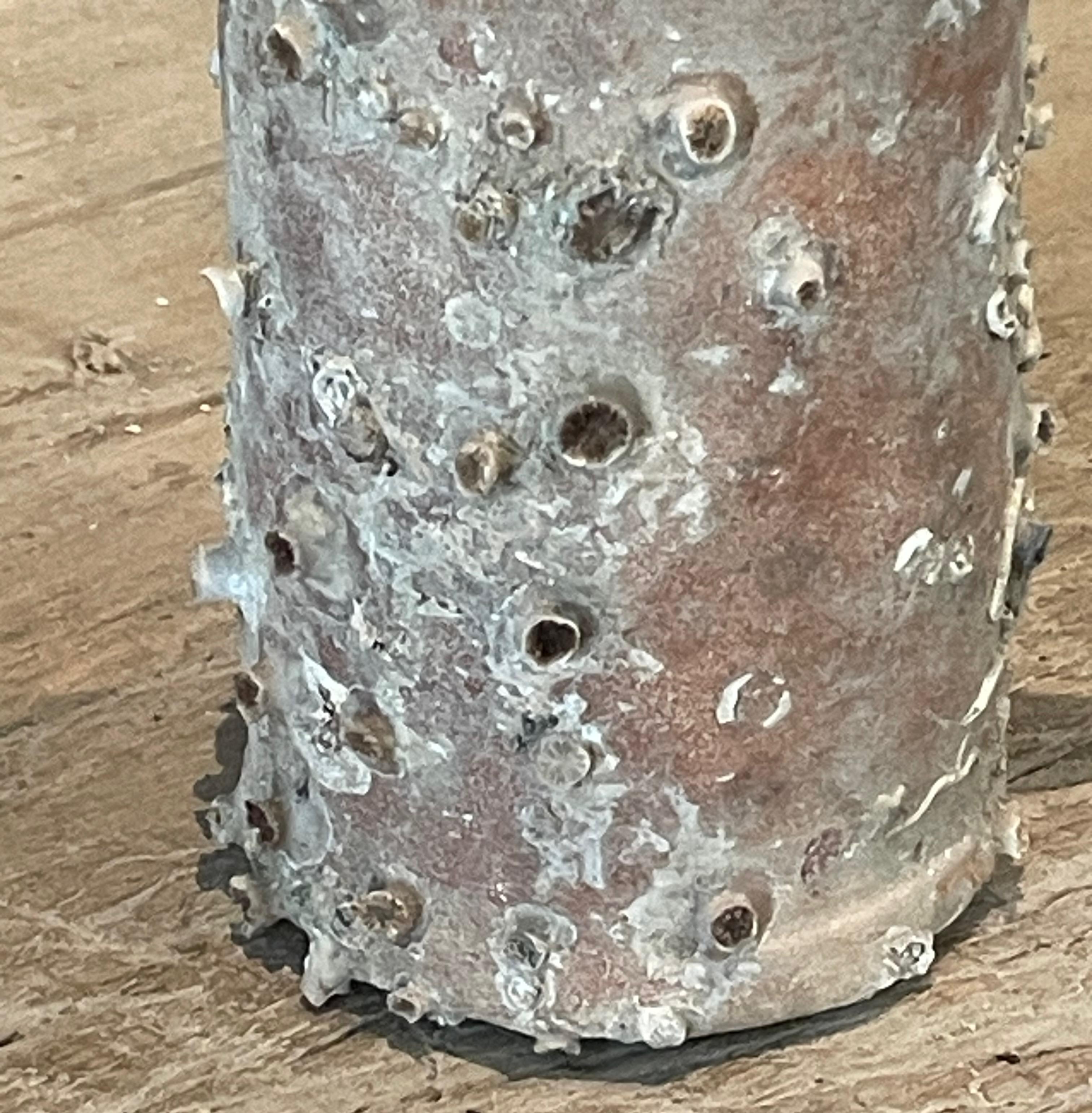 Olandese Bottiglia di assenzio naufragata, Olanda, XIX secolo in vendita