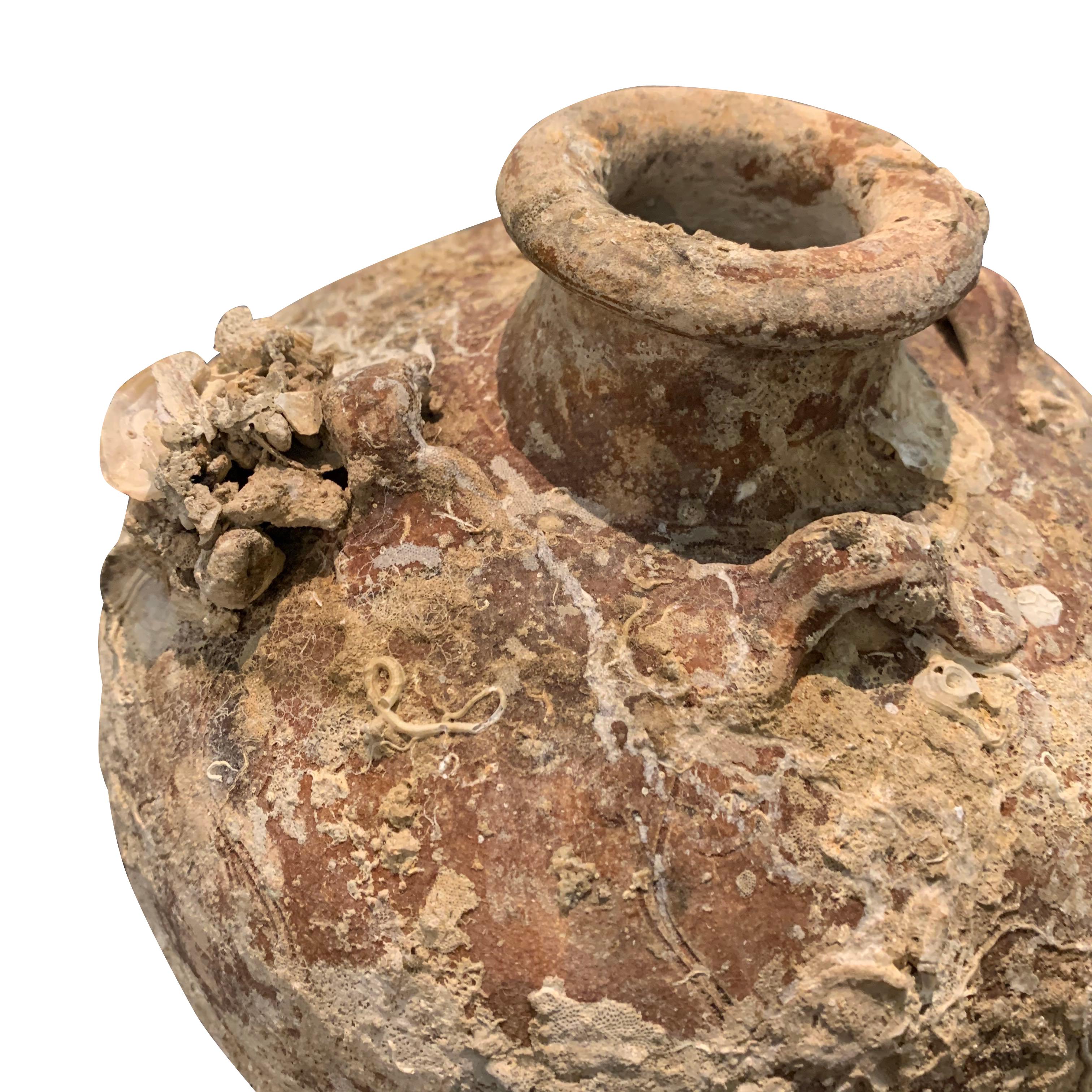 15th century Vietnamese shipwrecked four handled vase.
The rust colored terracotta base is covered in barnacles giving the vase an interesting texture.
The vase is in excellent condition for it's age.
We have a large collection of 15th and 16th