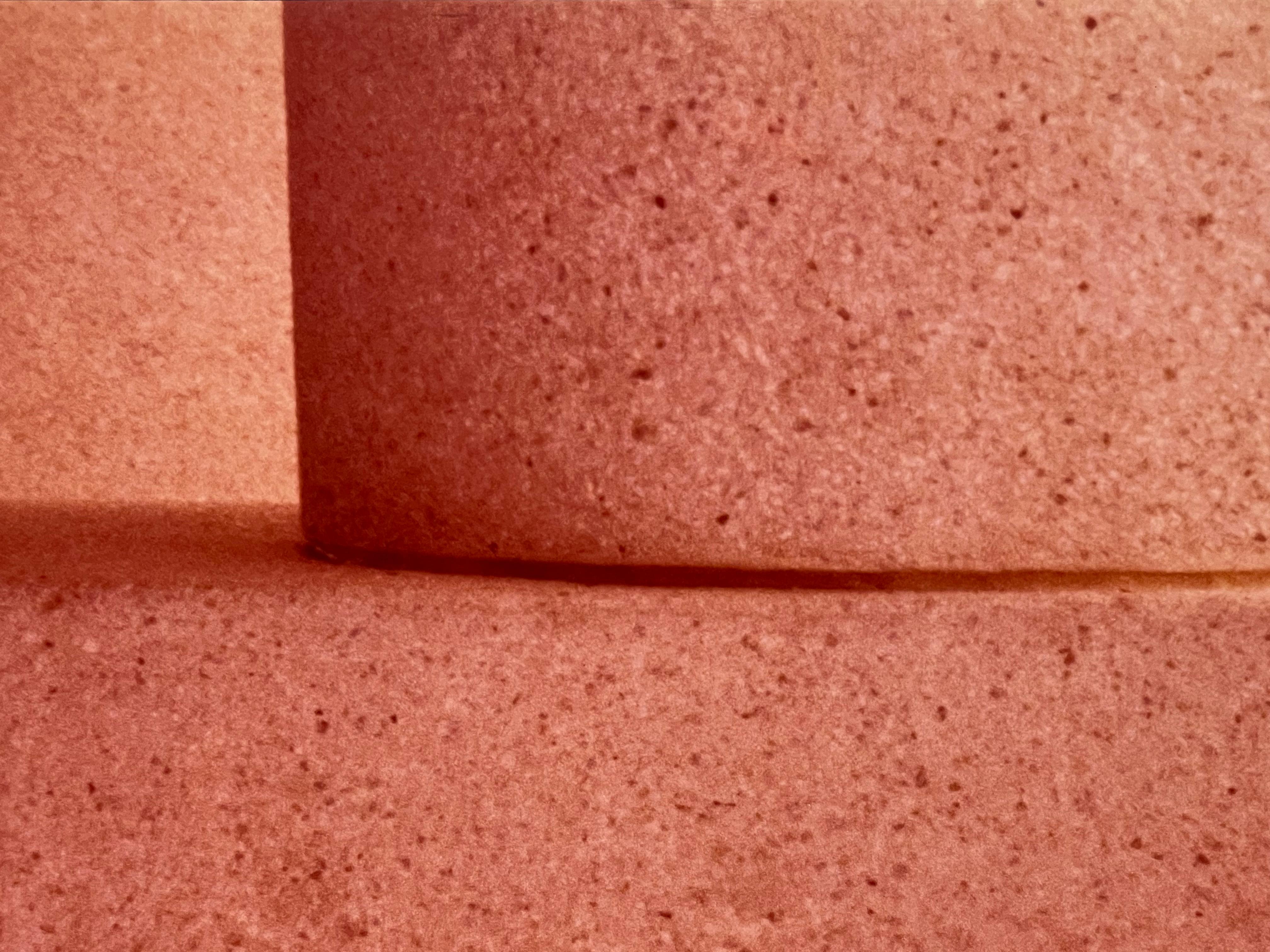Sherry Bleviss photographs #2 - Modern Photograph by Shirley Bleviss