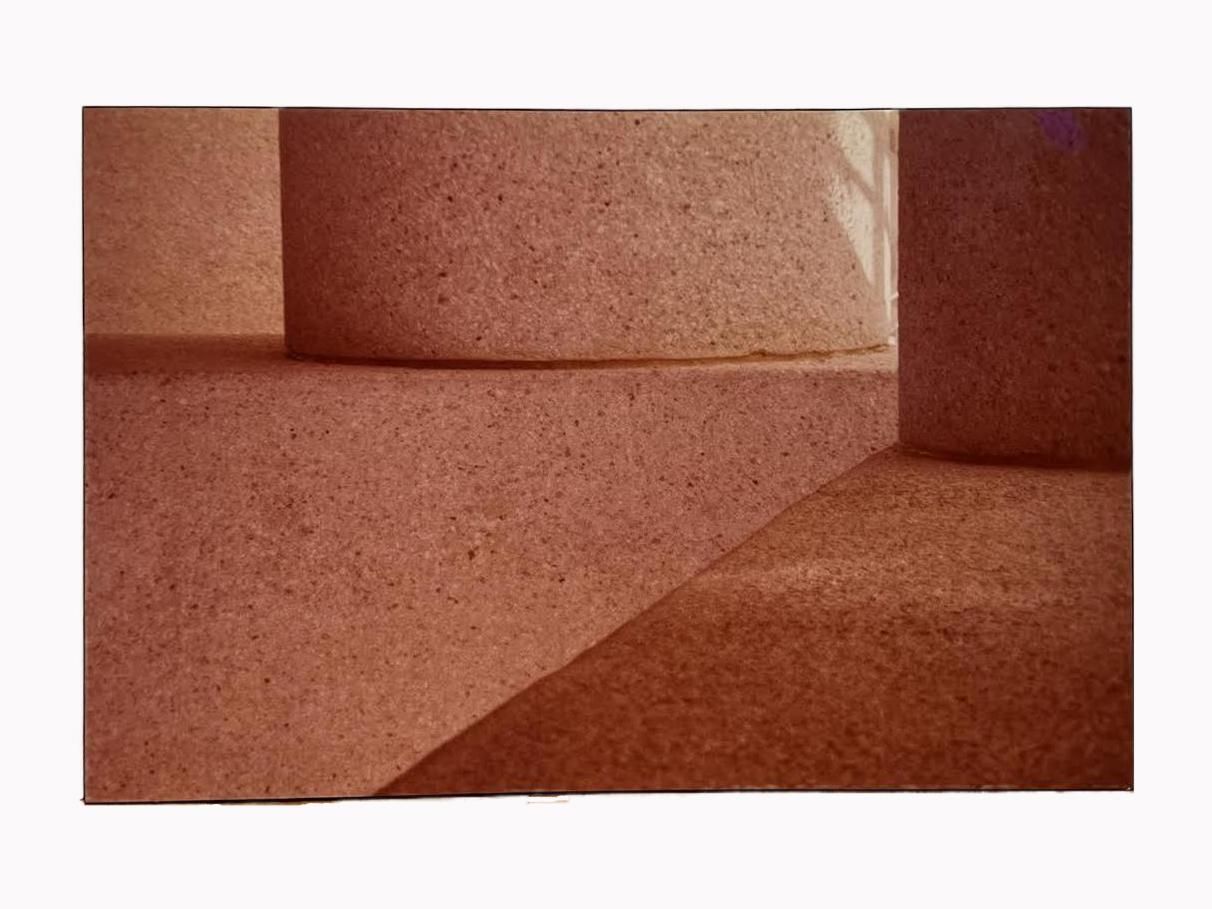 Shirley Bleviss Color Photograph - Sherry Bleviss photographs #2