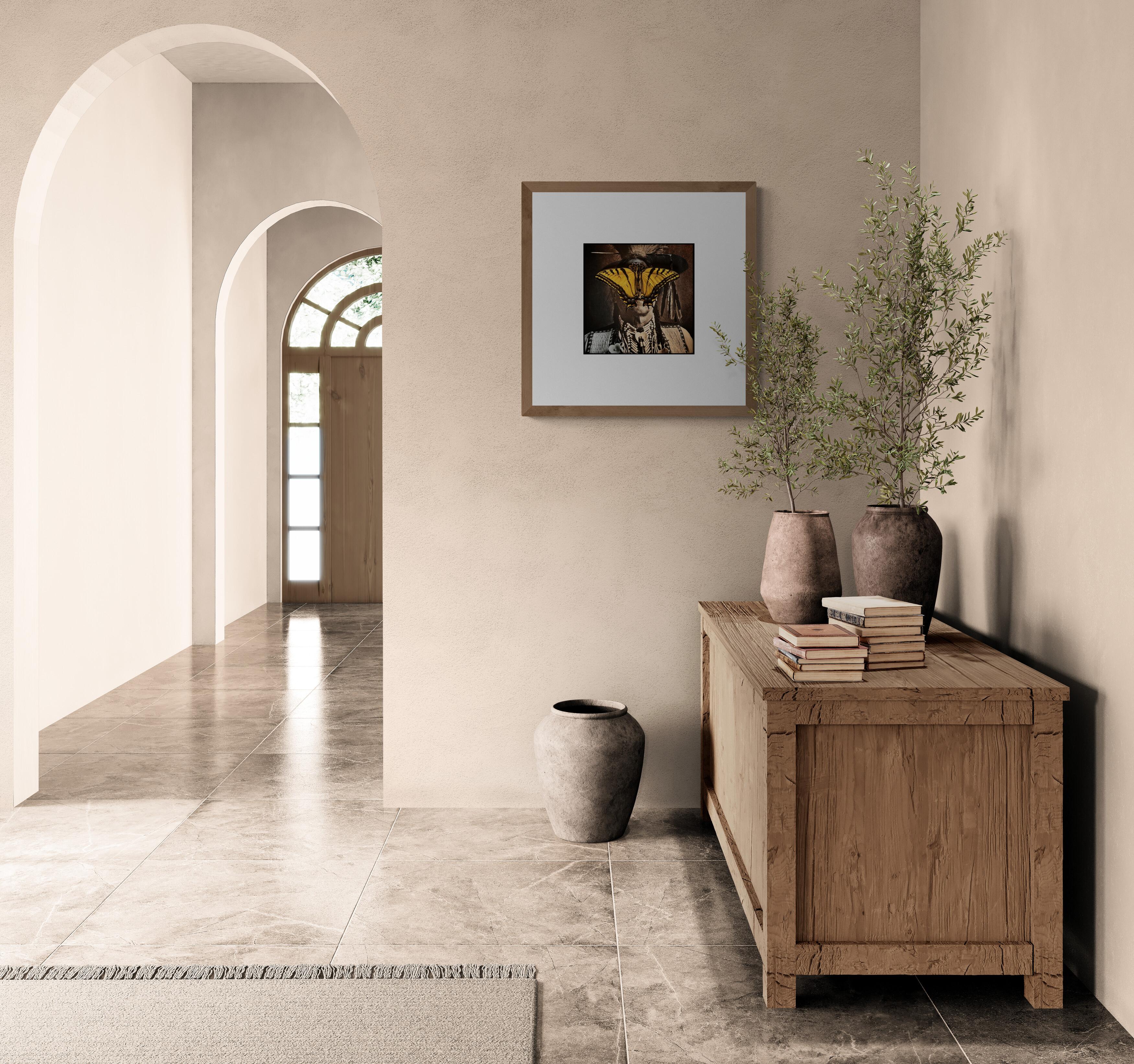 Coda di rondine (Zafferano, Sud-Ovest, Caldo, Iconico, ~25% OFF) - Photograph di Shirley Harryman