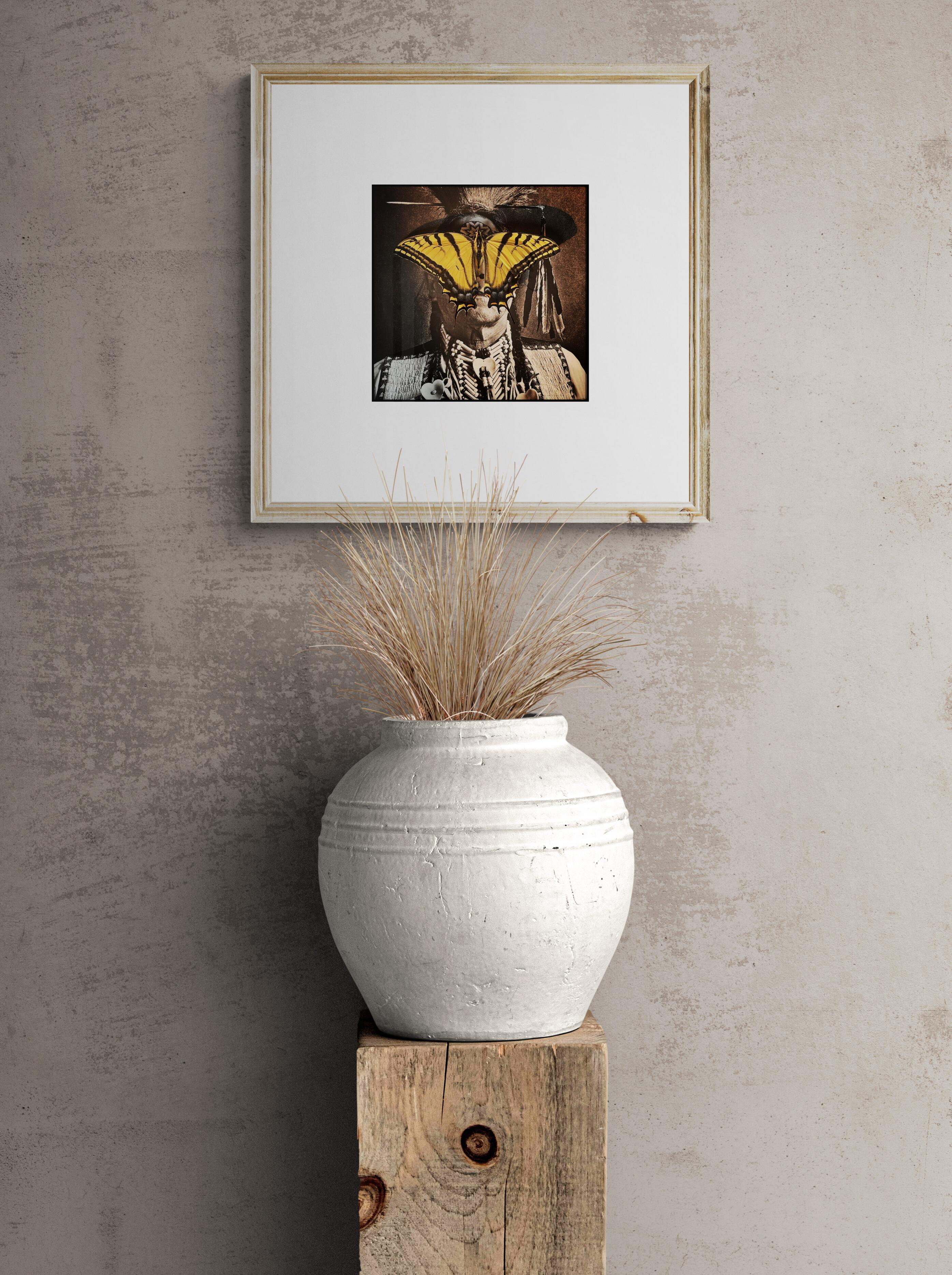 Coda di rondine (Zafferano, Sud-Ovest, Caldo, Iconico, ~25% OFF) - Photograph American Modern di Shirley Harryman