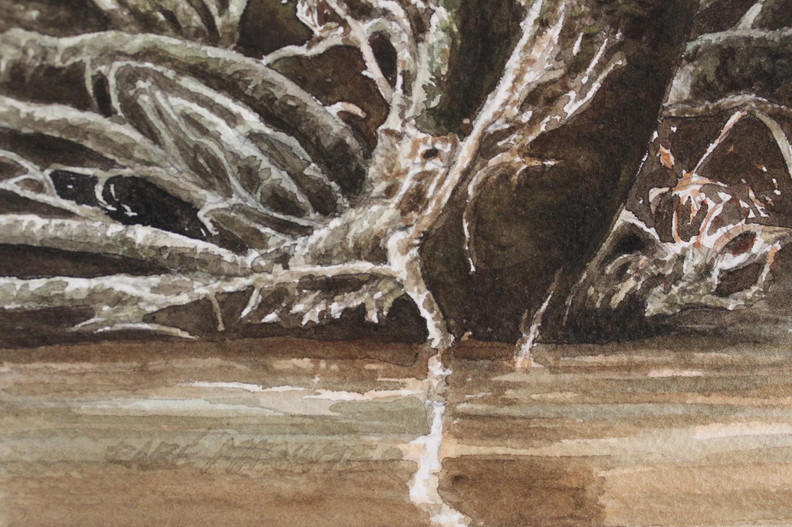watercolor swamp