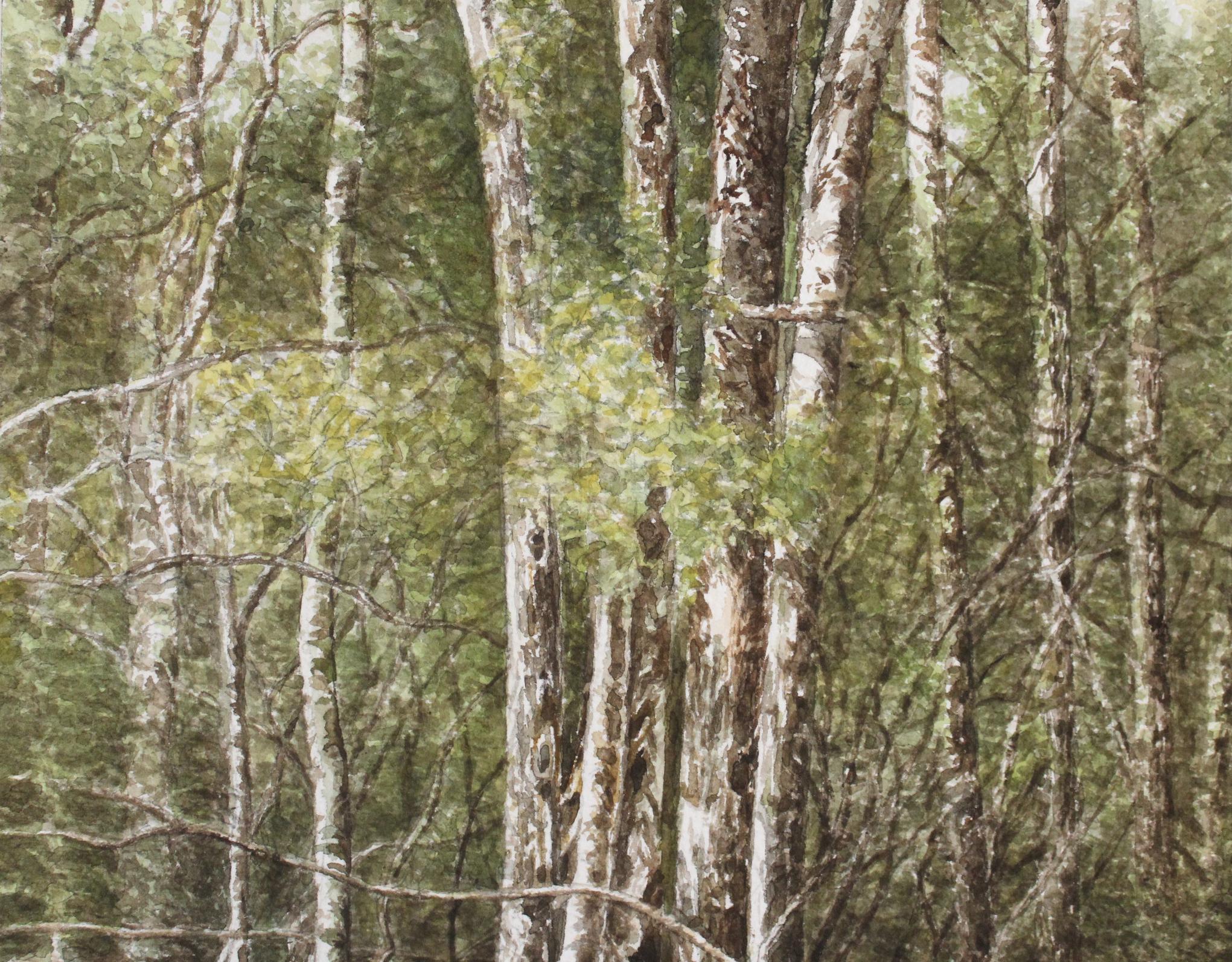 swamp watercolor