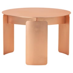 Shirudo Pink Gold Finish Side Table by Mingardo