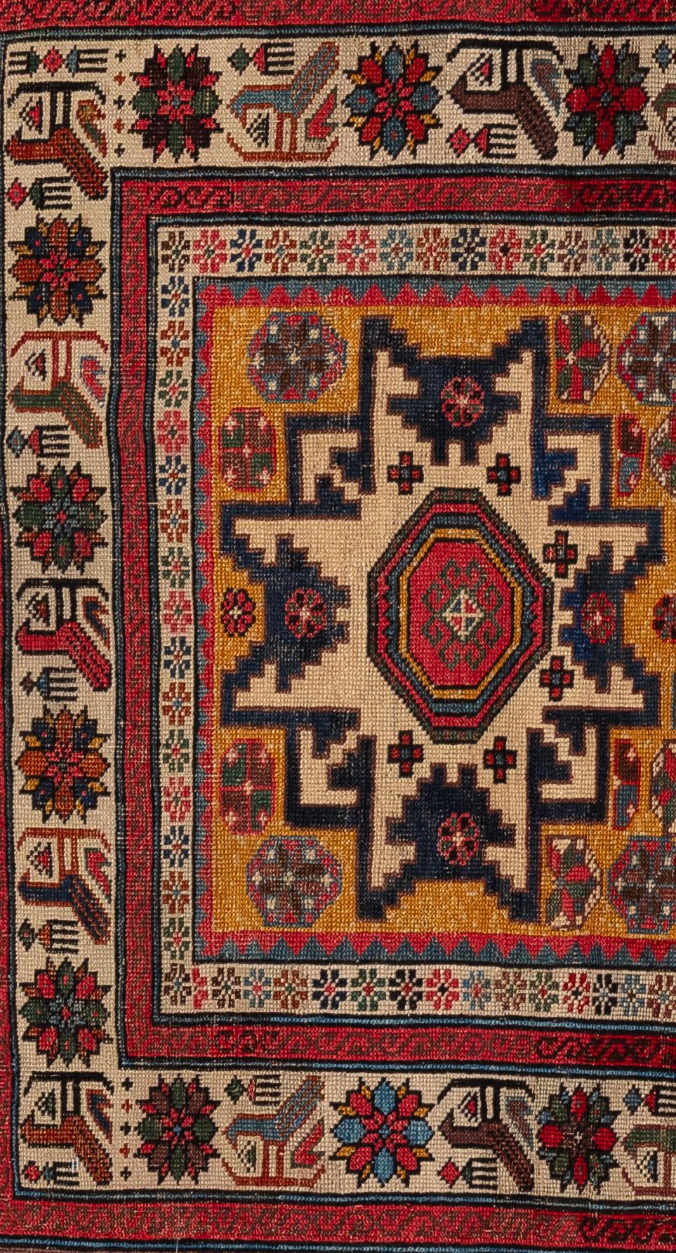 Caucasico Shirvan in vendita