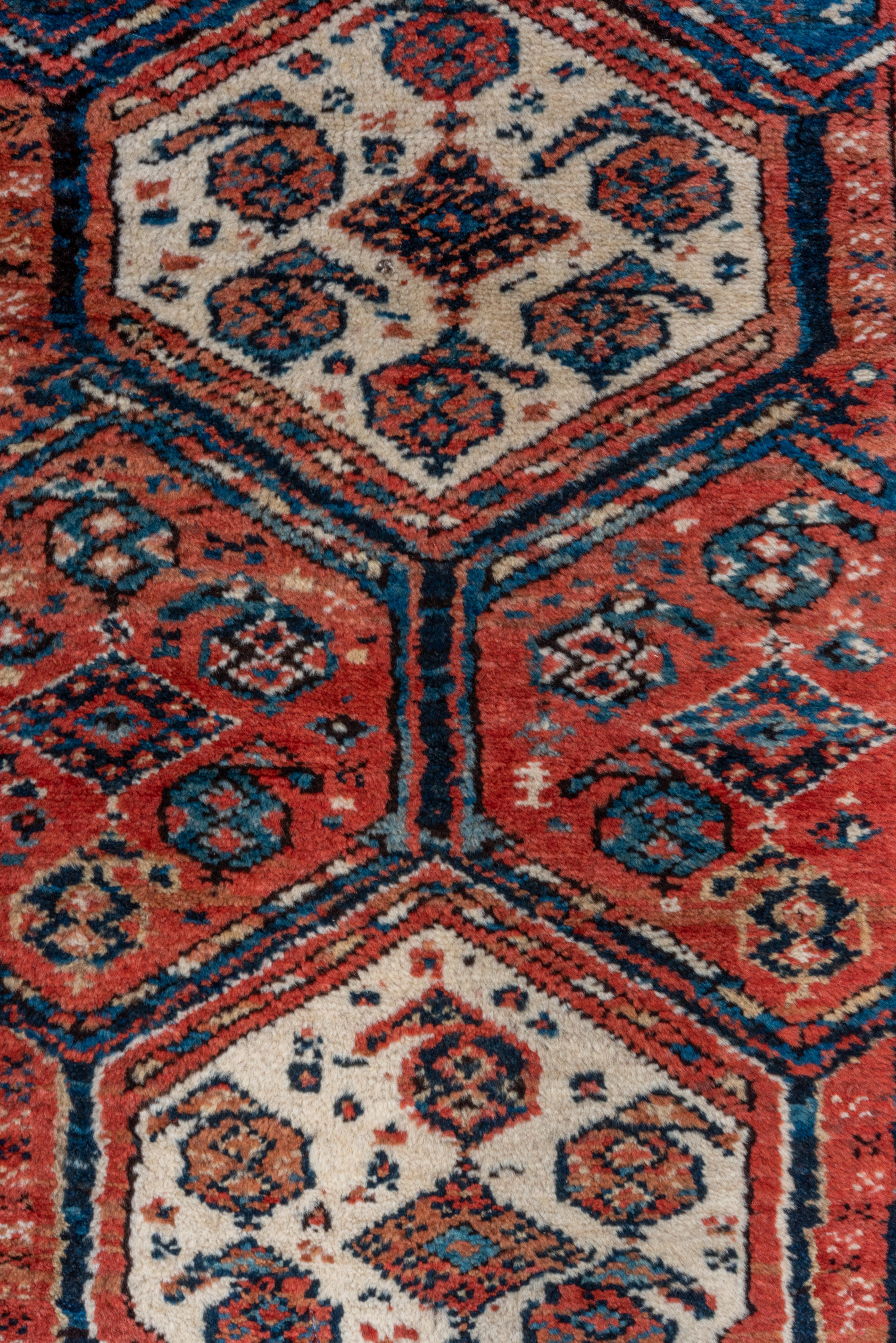 20th Century Shirvan Rug – Hexagonal Medallion Pattern in Rich Reds and Blues For Sale