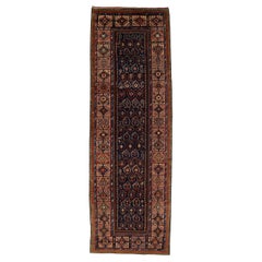 Shirvan runner