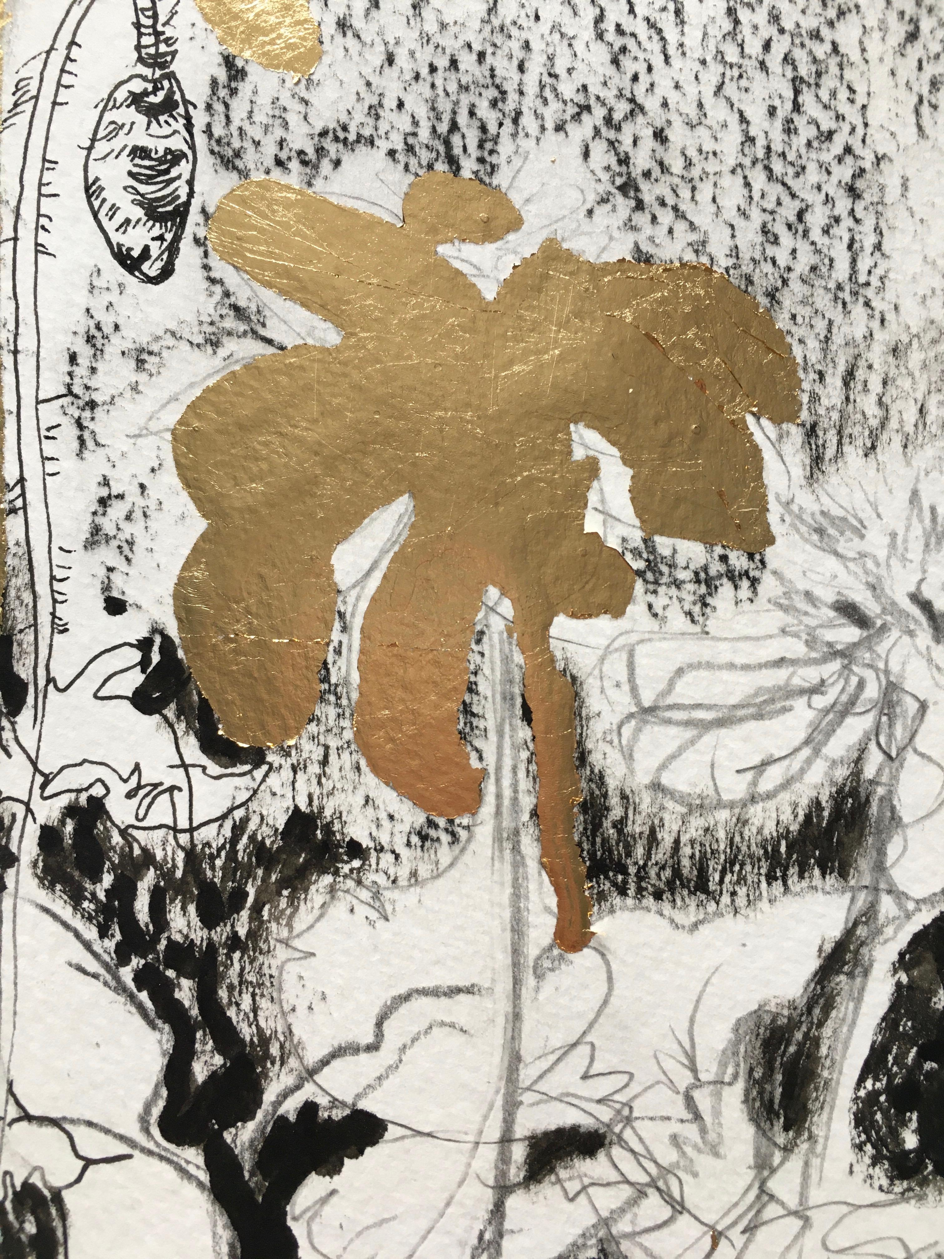 Estos dibujos de su jardín son los momentos más íntimos de Shizico.
El acto de dibujar es una forma muy directa de perfilar la vida de una persona y su forma de ver el mundo que la rodea. Cada línea es una forma de tocar cada grano fino de una cosa.