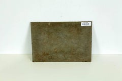 Pastoral Landscape Palestine/Israel Camels and Shepherds