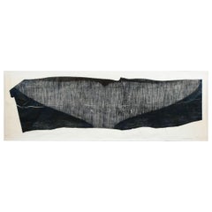 Shockwave Fluke
