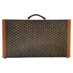 Shoe trunk