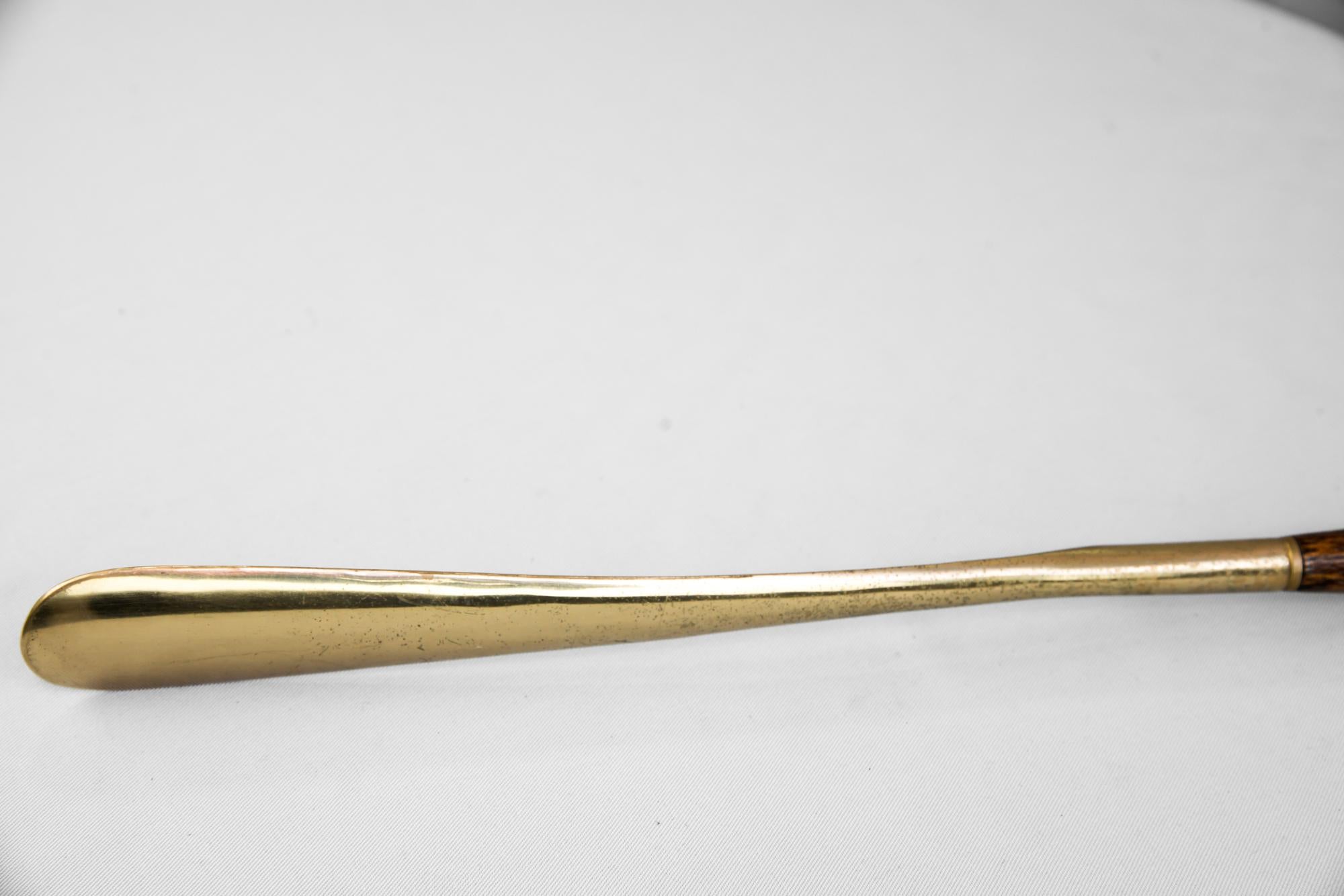 Polished Shoehorn Brass Wood Duck Head, 1960s