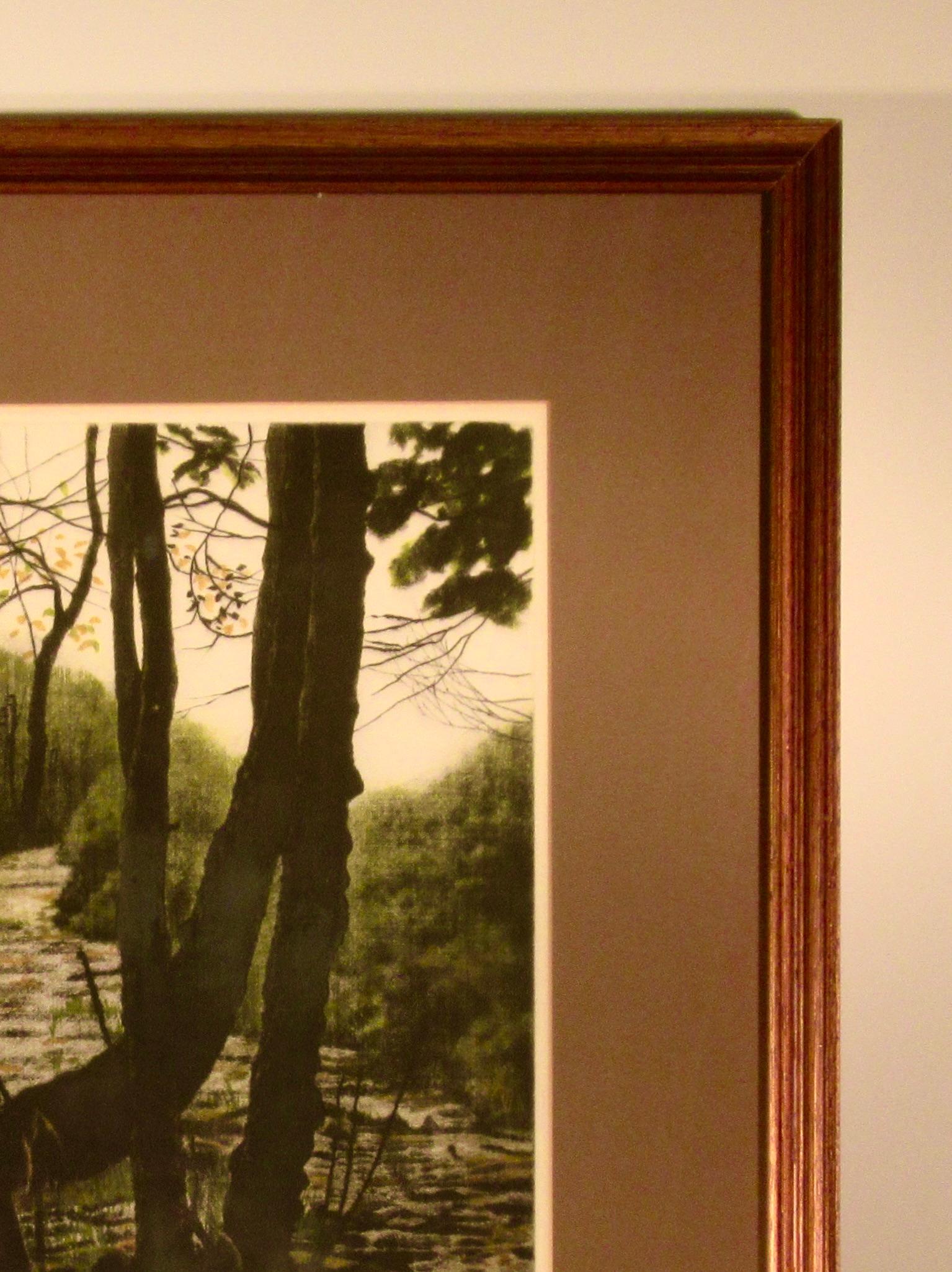 Facing the Sun, Gyakko For Sale 4