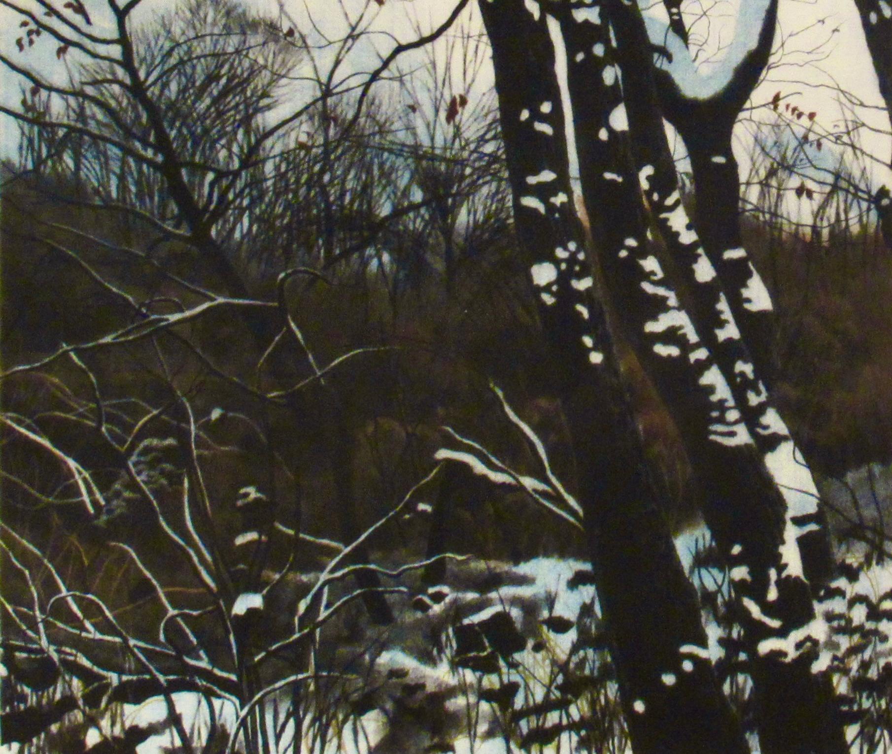 Flowers of the Rose Bush Under the Snow - Brown Landscape Print by Shogo Okamoto