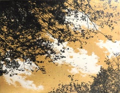 Empathy Towards Things No 8  landscape gold leaf pigment on paper clouds nature