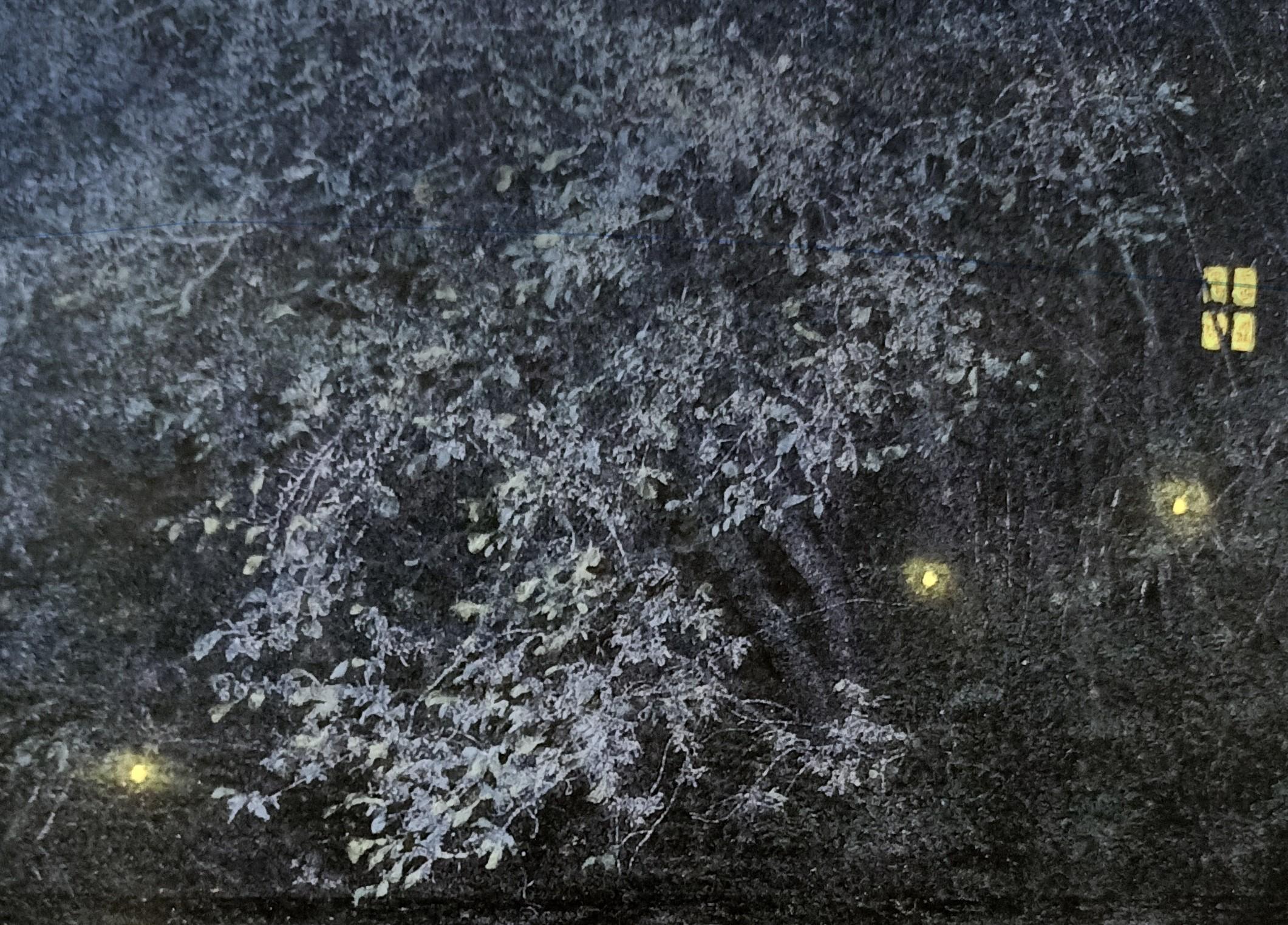 shoko okumura