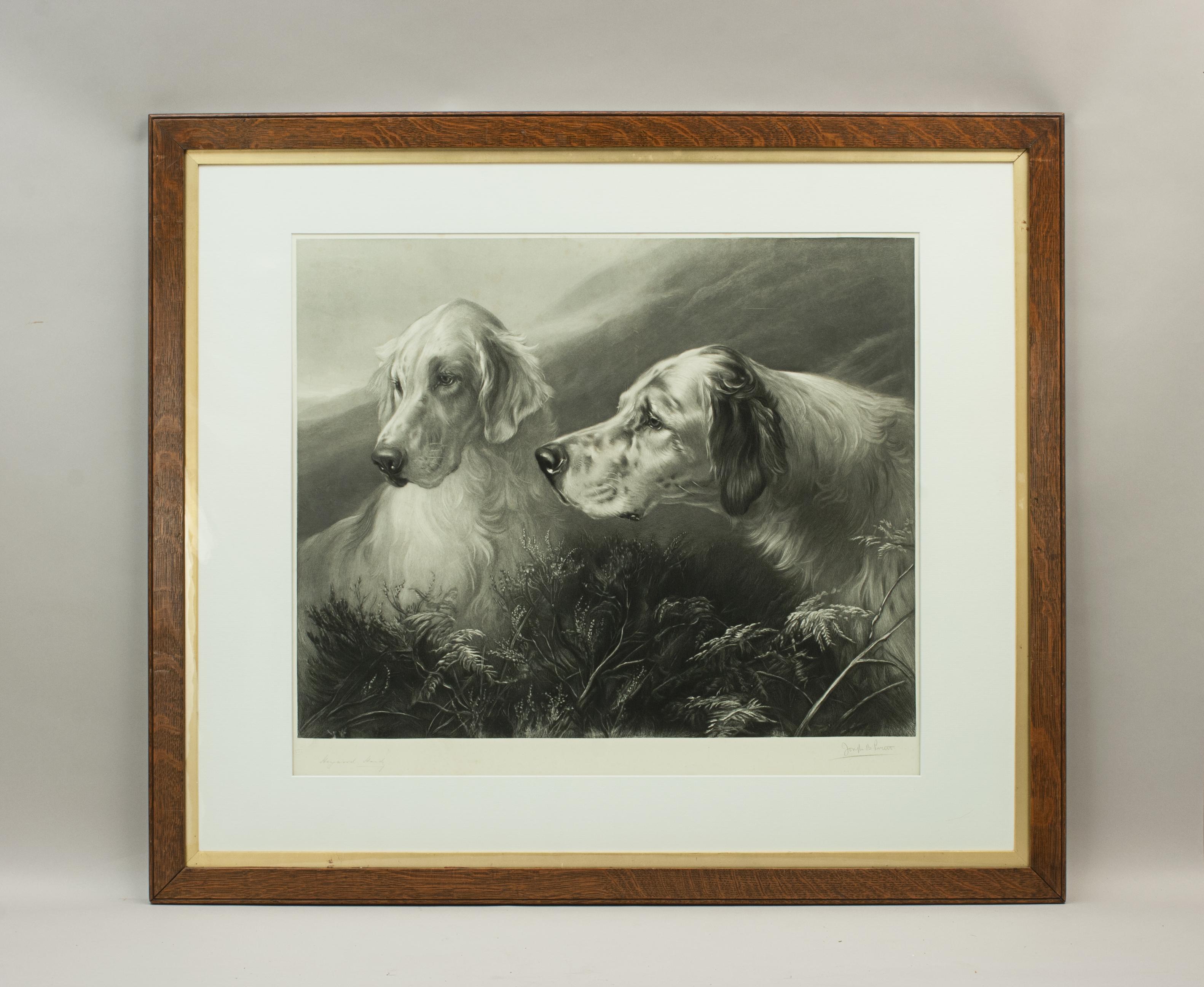 Setters At Work by Heywood Hardy.
Antique hunting mixed-method engraving of a pair of Setters after the original art work by Heywood Hardy. An artist's proof engraved by Joseph Bishop Pratt (1854-1910) and published by Thomas Agnew & Sons. This