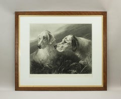 Shooting Dog Engraving, Setters at Work by Heywood Hardy