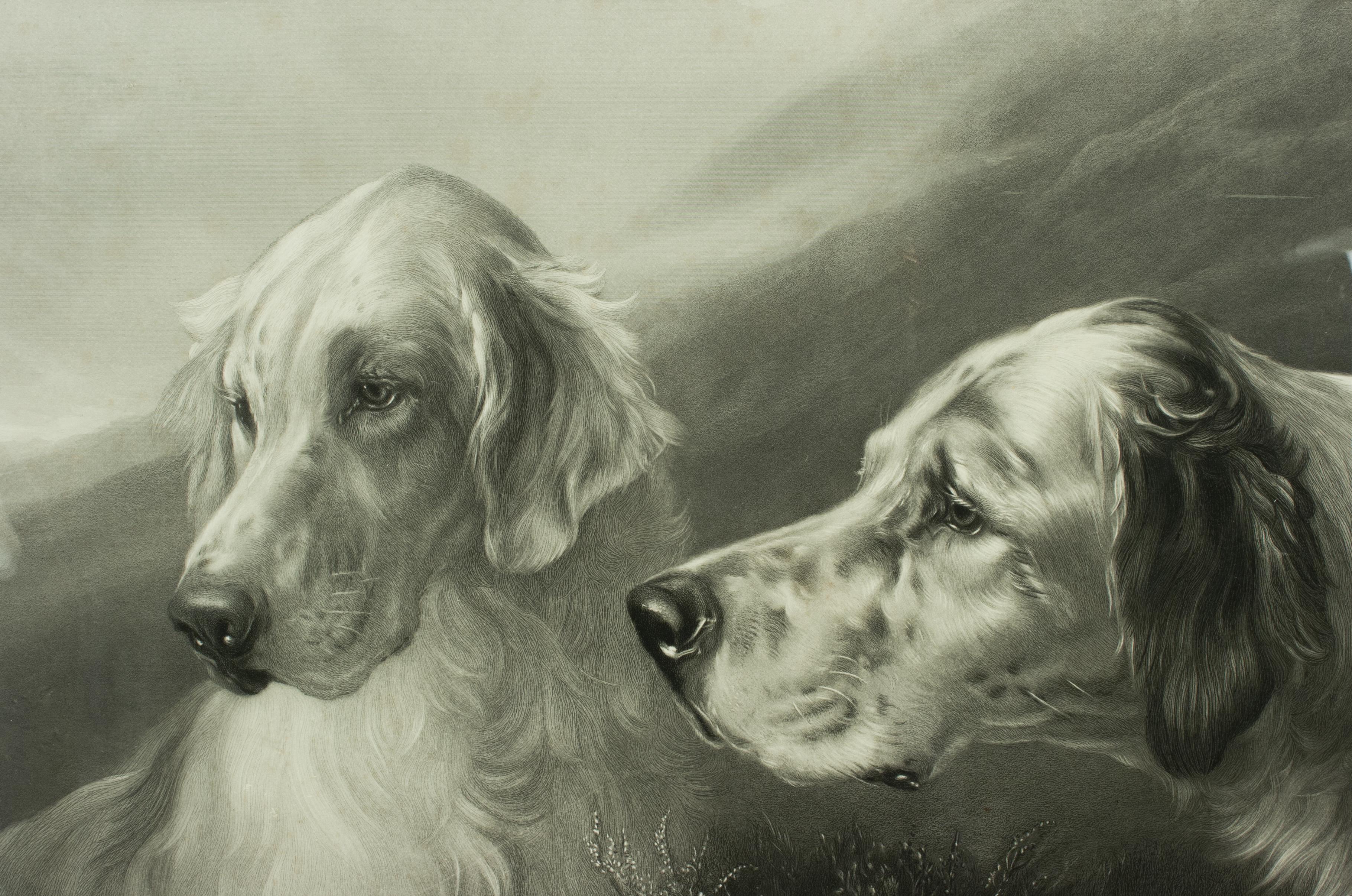 Shooting Dog Engraving, Setters at Work by Heywood Hardy In Good Condition In Oxfordshire, GB