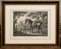 Shooting Pony Engraving – Original Georgian English Equestrian Print, 1799