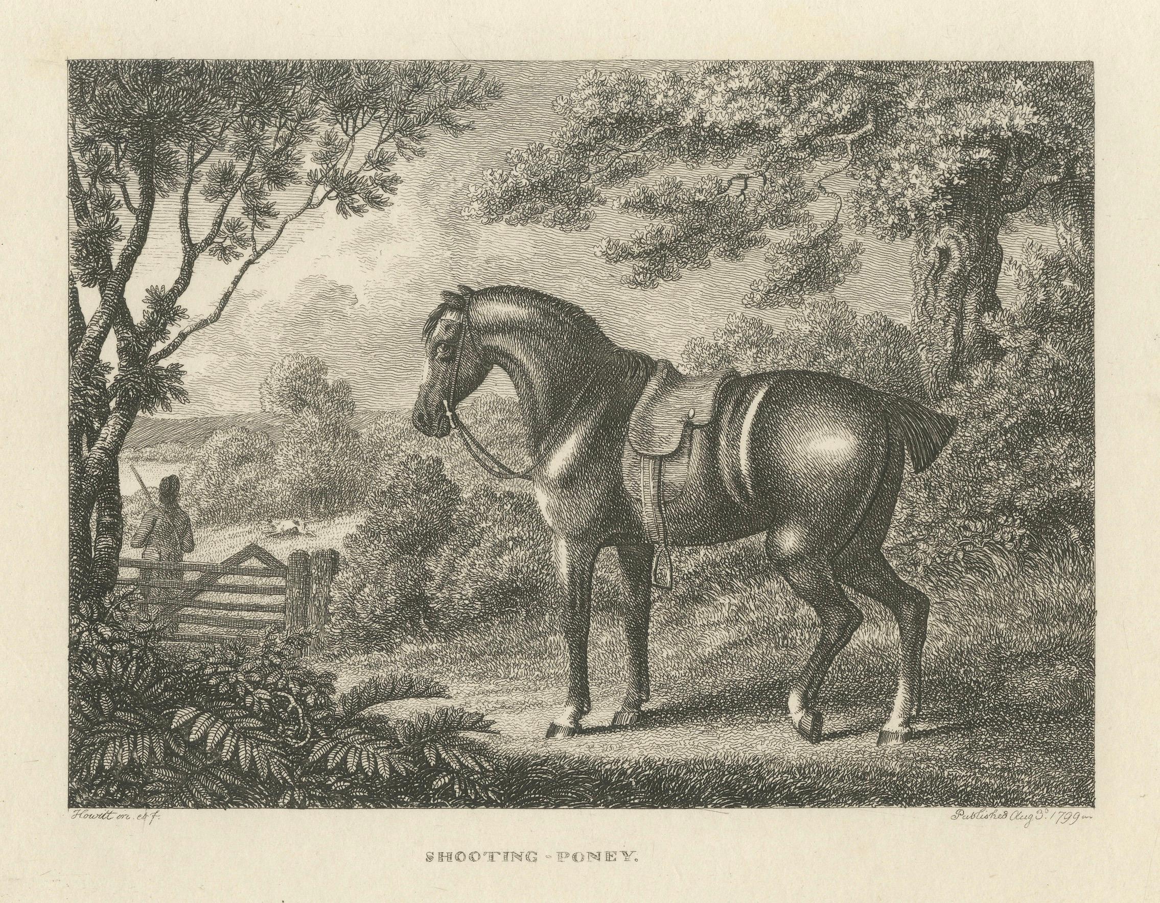 Shooting Pony Engraving – Original Georgian English Equestrian Print, 1799