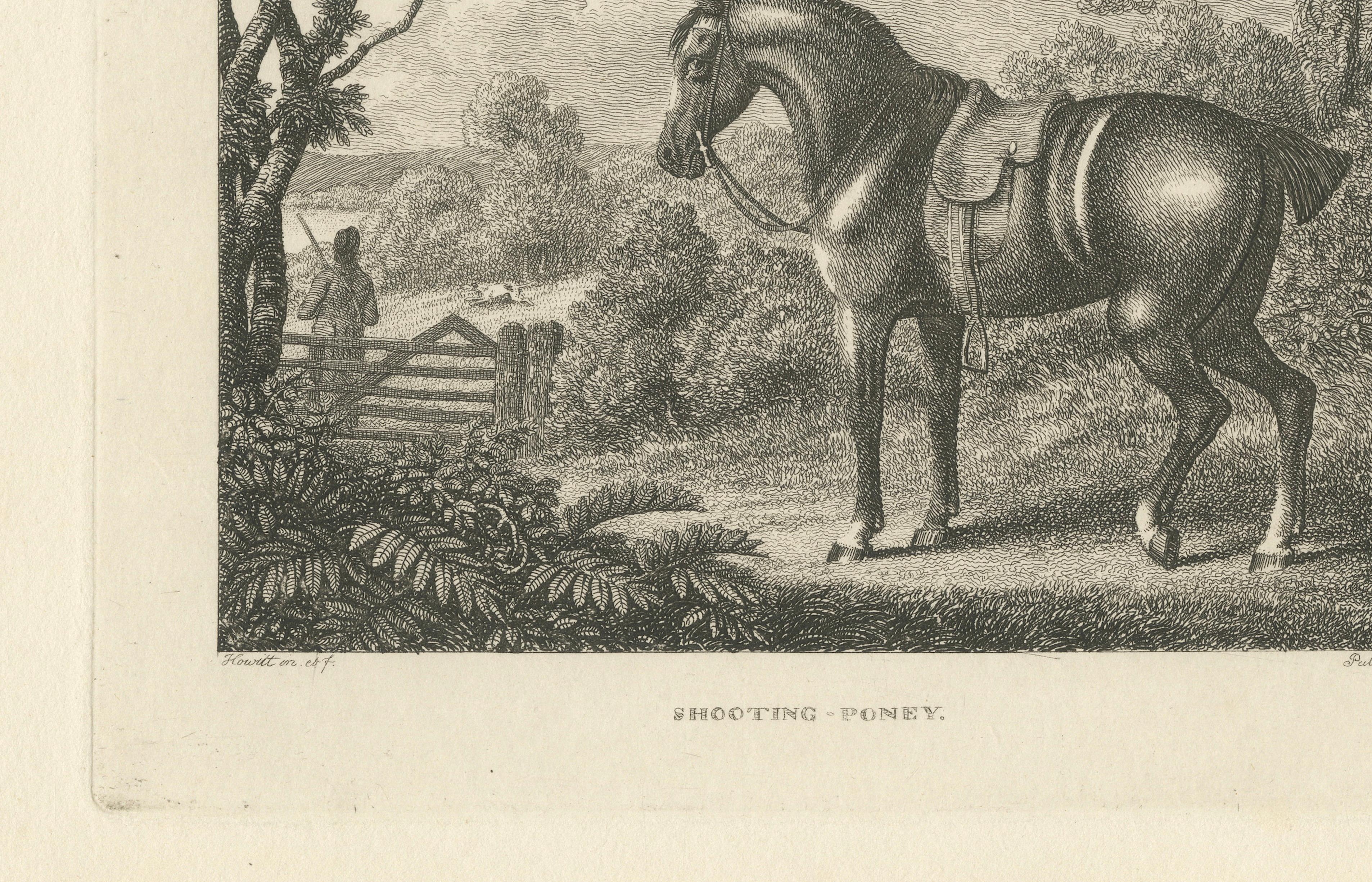 Shooting Pony Engraving – Original Georgian English Equestrian Print, 1799