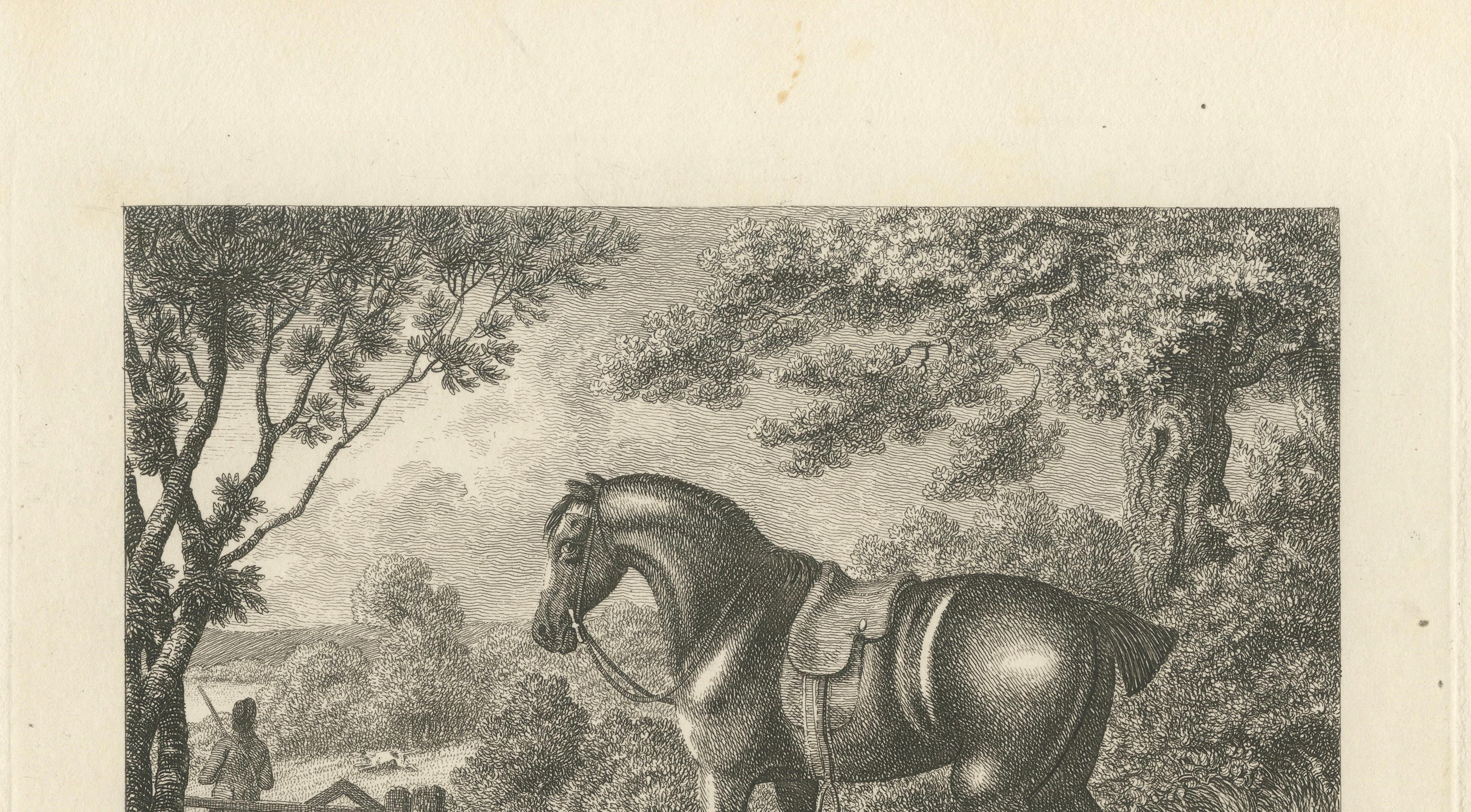 Shooting Pony Engraving – Original Georgian English Equestrian Print, 1799