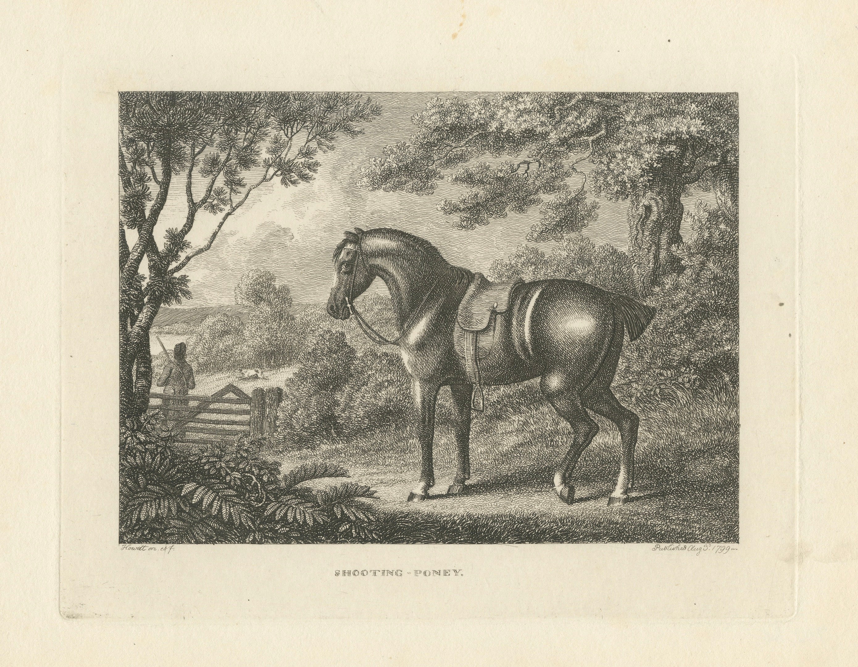 Shooting Pony Engraving – Original Georgian English Equestrian Print, 1799
