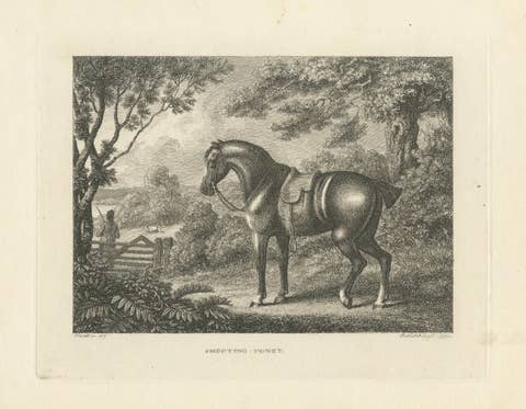 Shooting Pony Engraving – Original Georgian English Equestrian Print, 1799