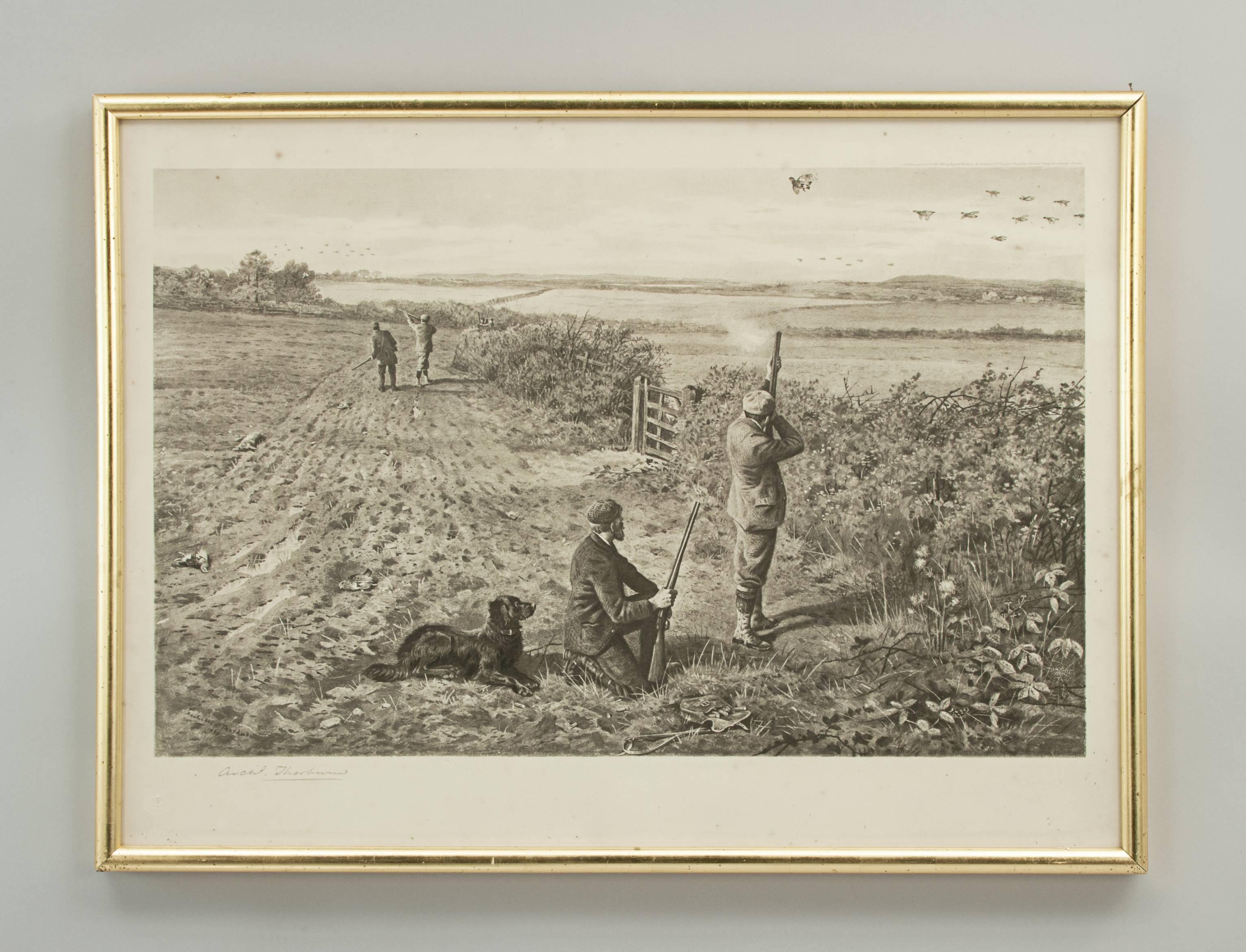 Partridge shooting picture by Archibald Thorburn.
A game bird photogravure titled 'Coming Over The Guns (Partridge Driving)' by Archibald Thorburn. The partridge shooting picture is signed in pencil by the artist and has been reframed at some time,