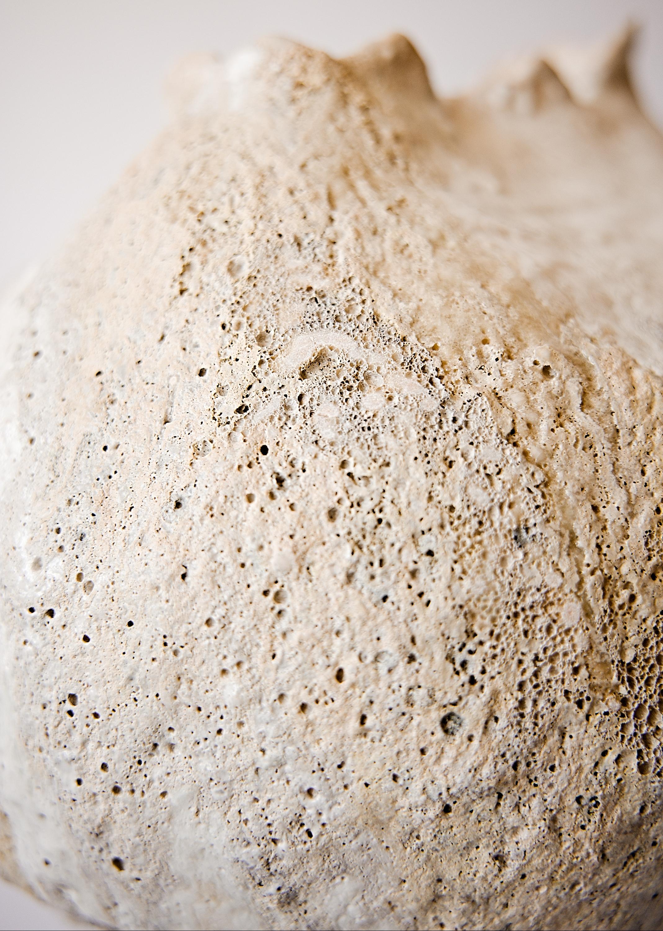 Organic Modern Shorebreak Series Free Form Hand Made Vase II For Sale