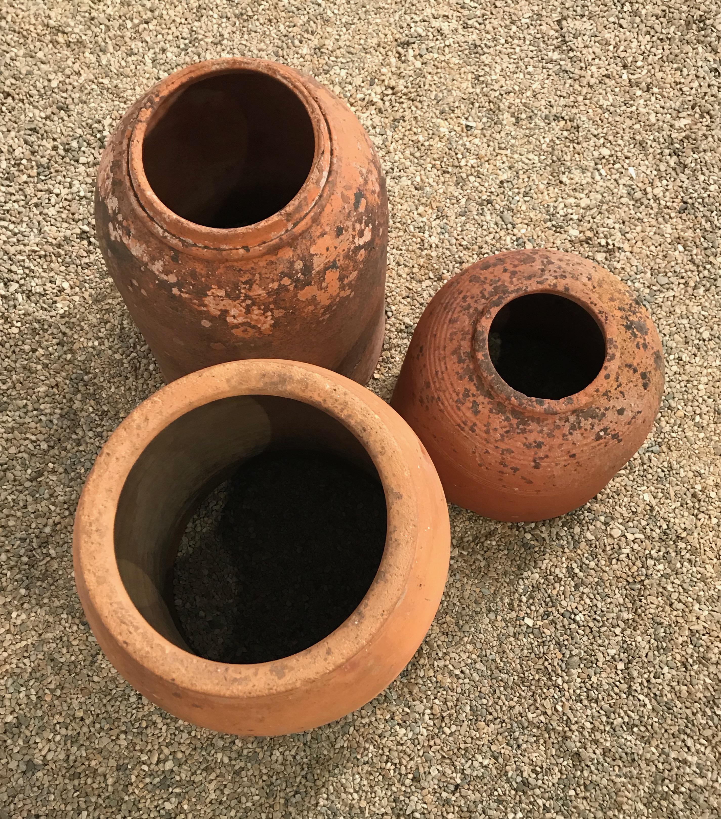 Short English Terracotta Kale Forcer Pot with Lovely Patina 6