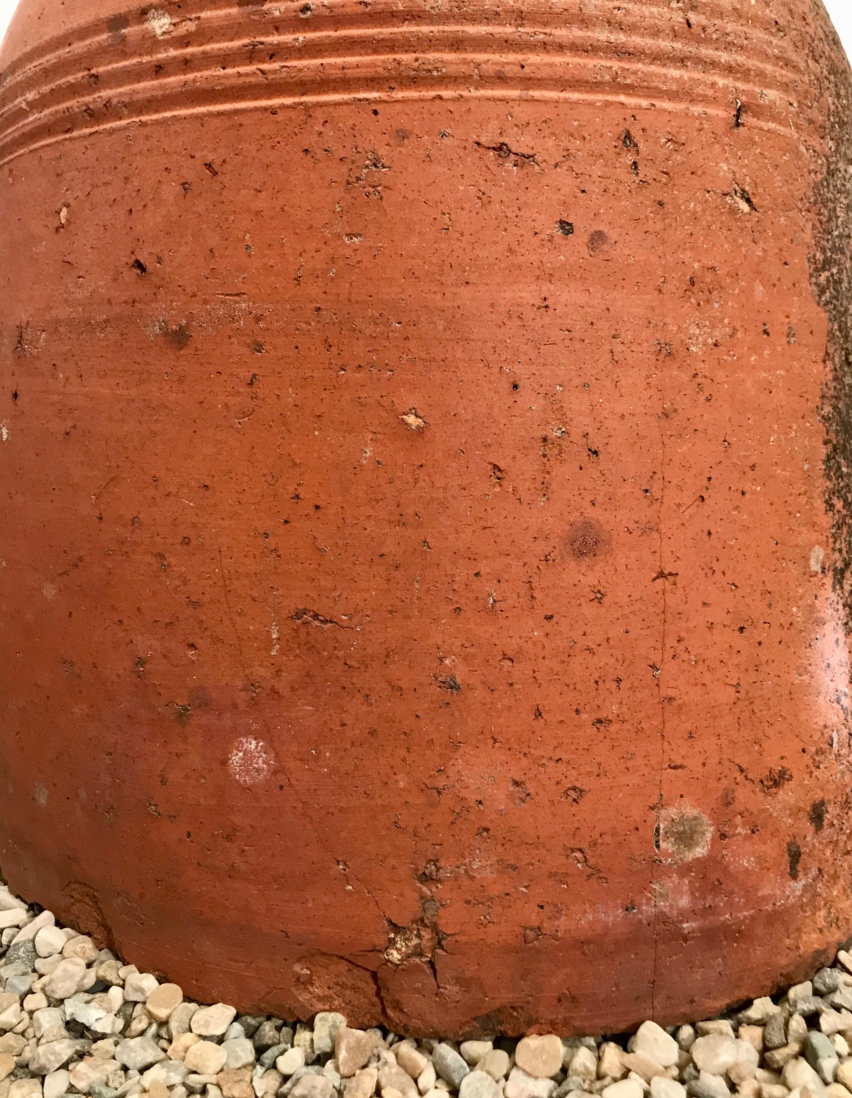 Short English Terracotta Kale Forcer Pot with Lovely Patina 8