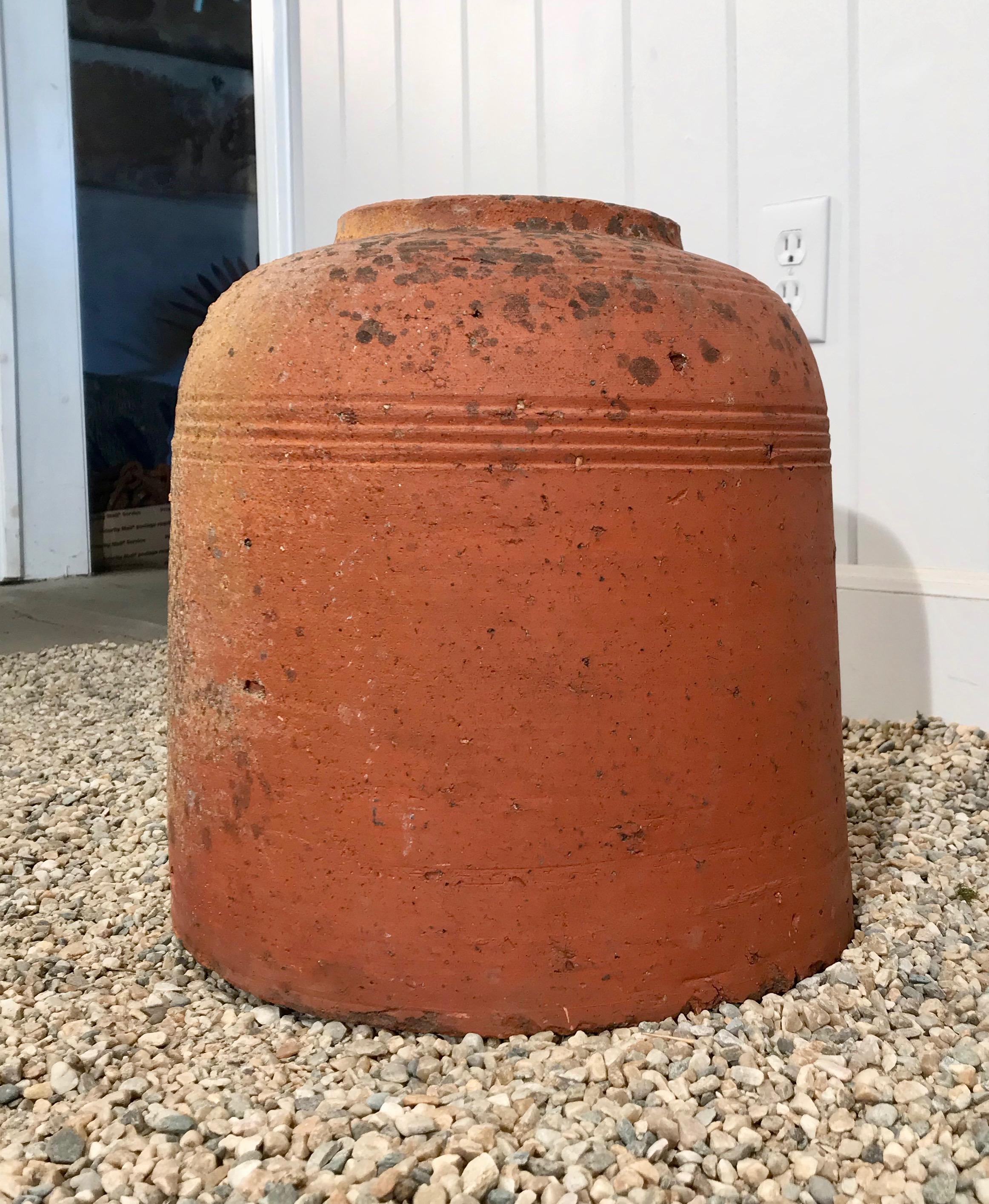 Edwardian Short English Terracotta Kale Forcer Pot with Lovely Patina