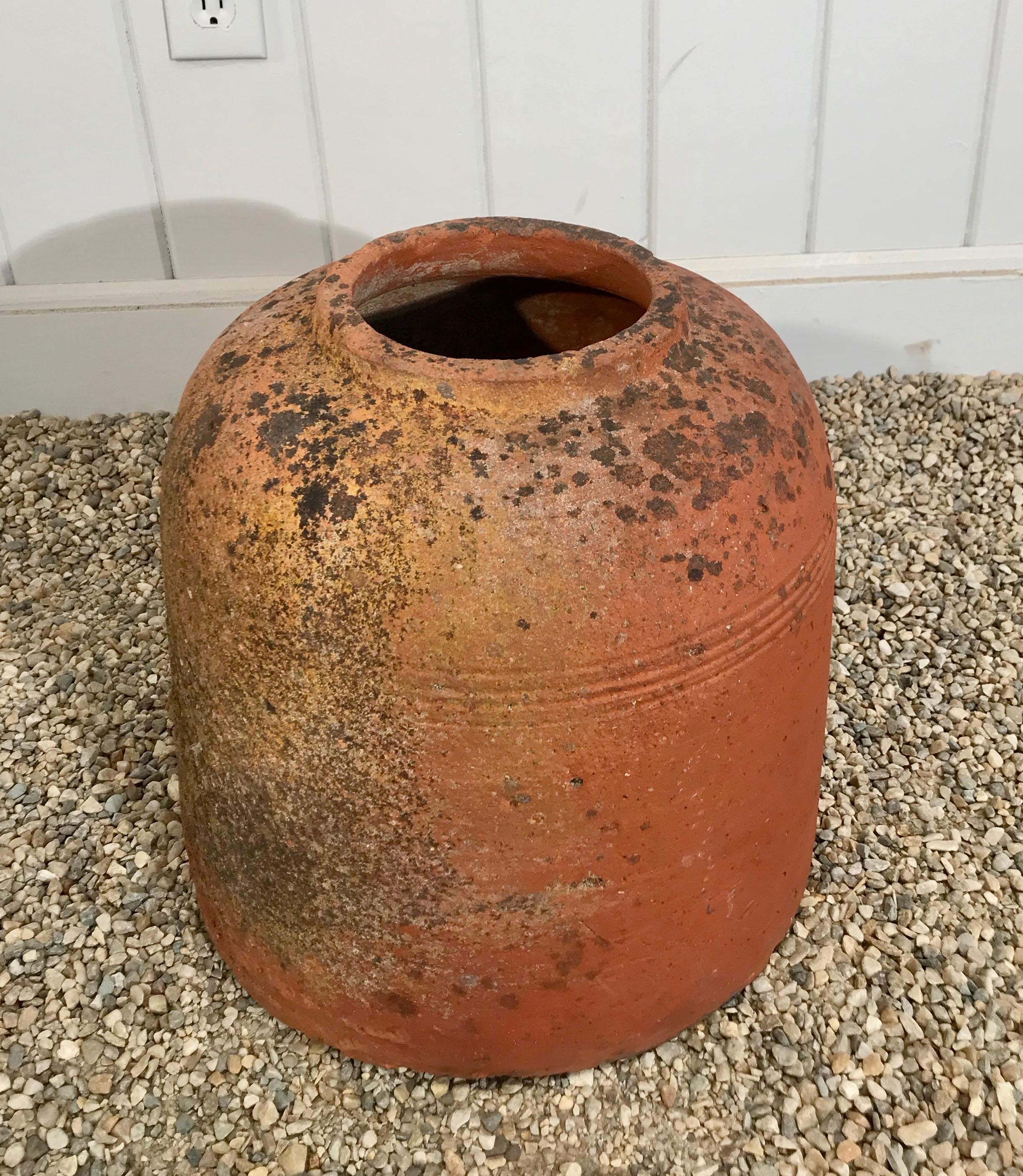 Hand-Crafted Short English Terracotta Kale Forcer Pot with Lovely Patina