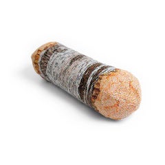 Short White Birch Tree log bolster knitted pixeled pillow - Textile - Pillows