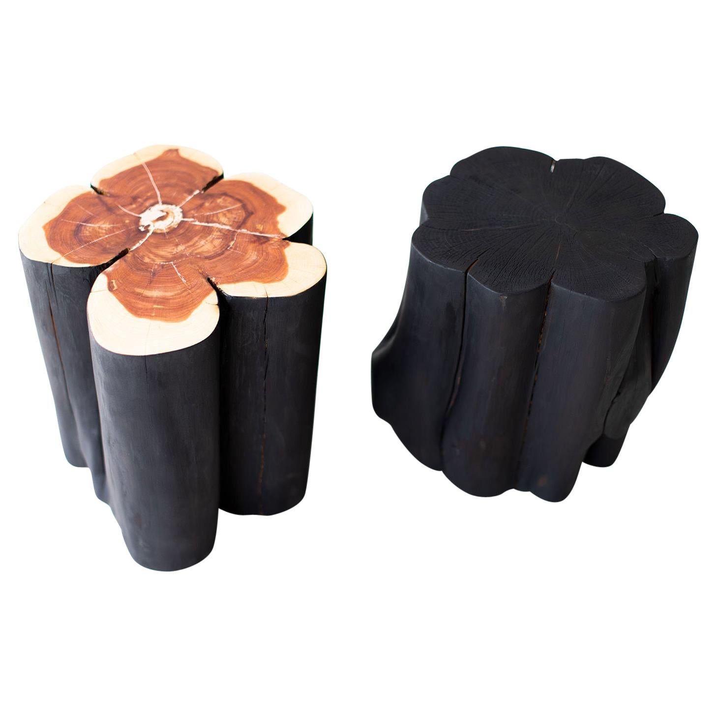 Shou Sugi Ban Burned Black Stumps For Sale