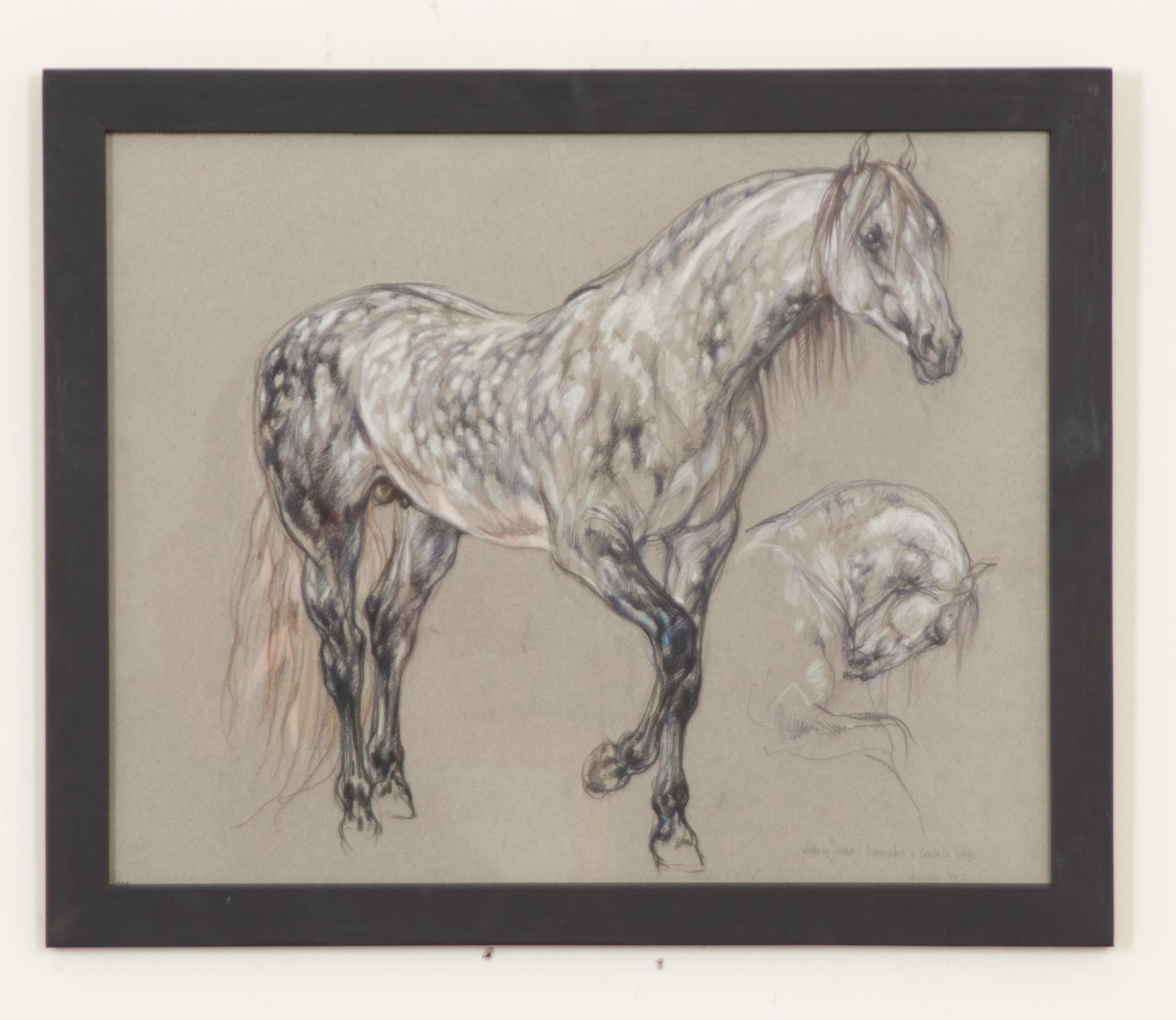 Ein schönes Stück aus einer größeren Sammlung von gerahmten Pferdezeichnungen des 20. Jahrhunderts der Royal Academy-Künstlerin Leslie Charlotte Benenson (1941-2018). Eine Pastellstudie von außergewöhnlicher Qualität auf Kohlepapier. Die Anmerkungen