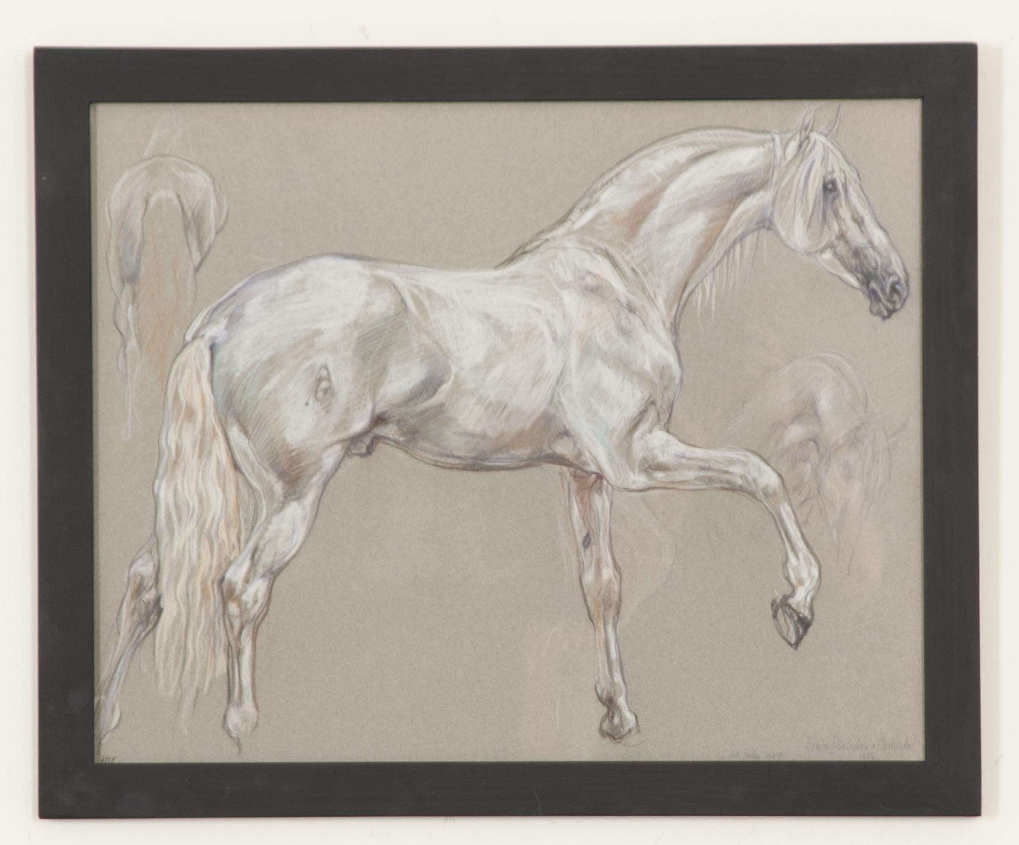 Ein schönes Stück aus einer größeren Sammlung von gerahmten Pferdezeichnungen des 20. Jahrhunderts der Royal Academy-Künstlerin Leslie Charlotte Benenson (1941-2018). Eine Pastellstudie von außergewöhnlicher Qualität auf Kohlepapier. Die Anmerkungen
