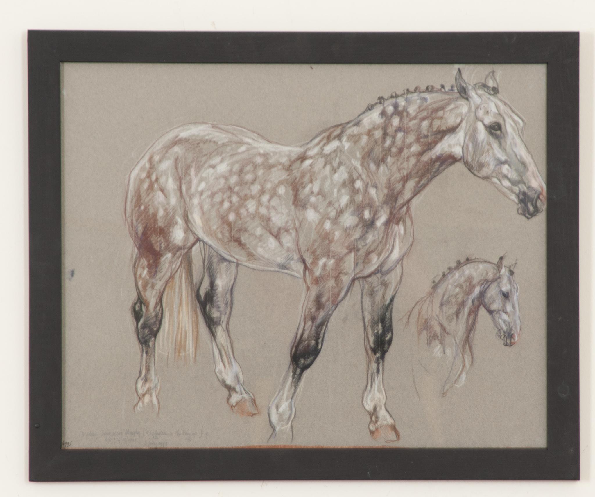 A beautiful piece from a larger collection of framed 20th century show horse drawings by Royal Academy artist Leslie Charlotte Benenson (1941-2018). A pastel study of exceptional quality on charcoal paper. Notes from the artist are at the bottom of