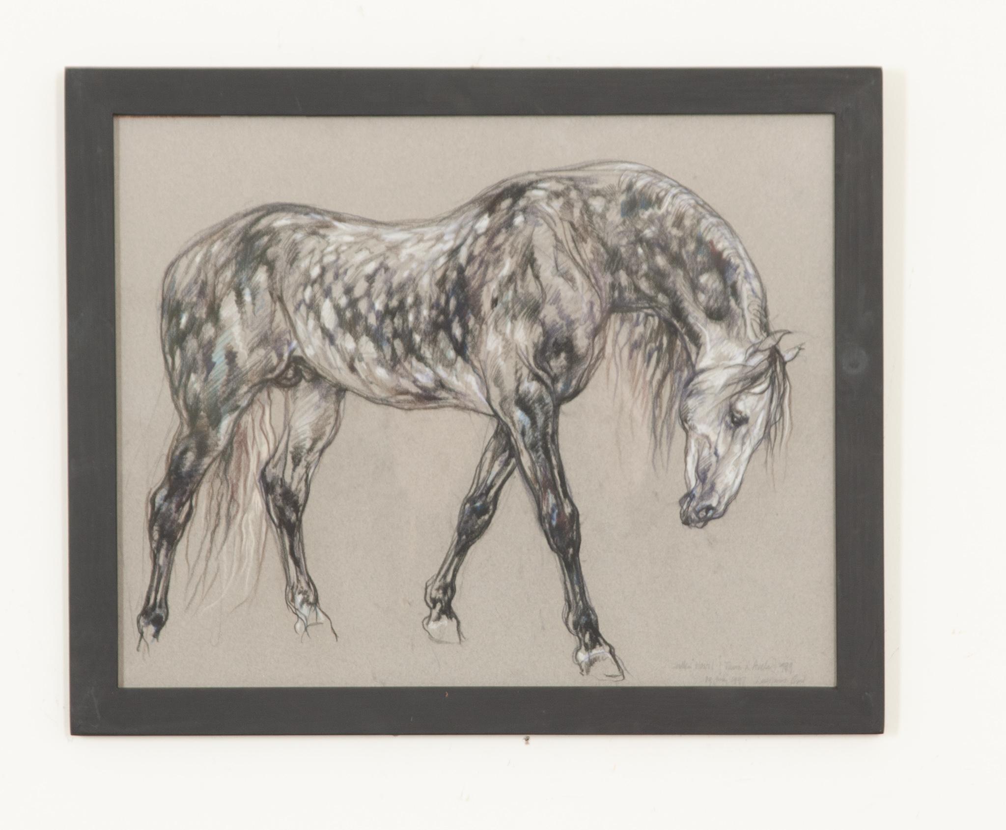 A beautiful piece from a larger collection of framed 20th century show horse drawings by Royal Academy artist Leslie Charlotte Benenson (1941-2018). A pastel study of exceptional quality on charcoal paper. Notes from the artist are at the bottom of