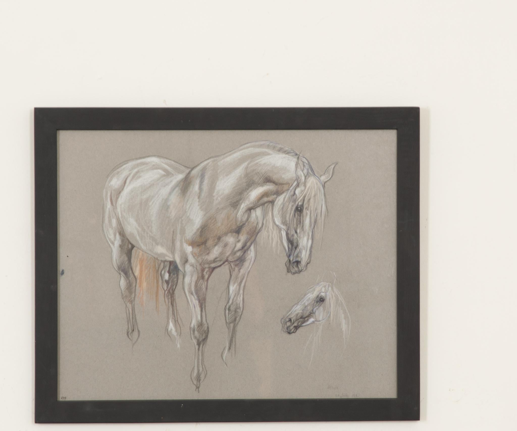 A beautiful piece from a larger collection of framed 20th century show horse drawings by Royal Academy artist Leslie Charlotte Benenson (1941-2018). A pastel study of exceptional quality on charcoal paper. Notes from the artist are at the bottom of