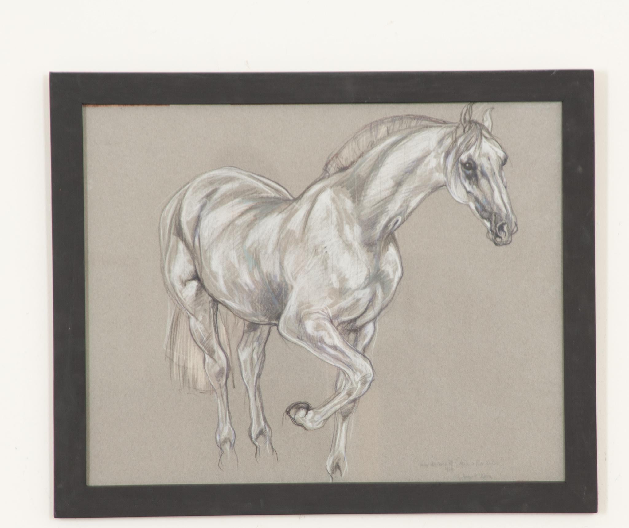 Un bellissimo pezzo di una collezione più ampia di disegni di cavalli da esposizione del XX secolo incorniciati dell'artista della Royal Academy Leslie Charlotte Benenson (1941-2018). Uno studio a pastello di eccezionale qualità su carta carbone. Le